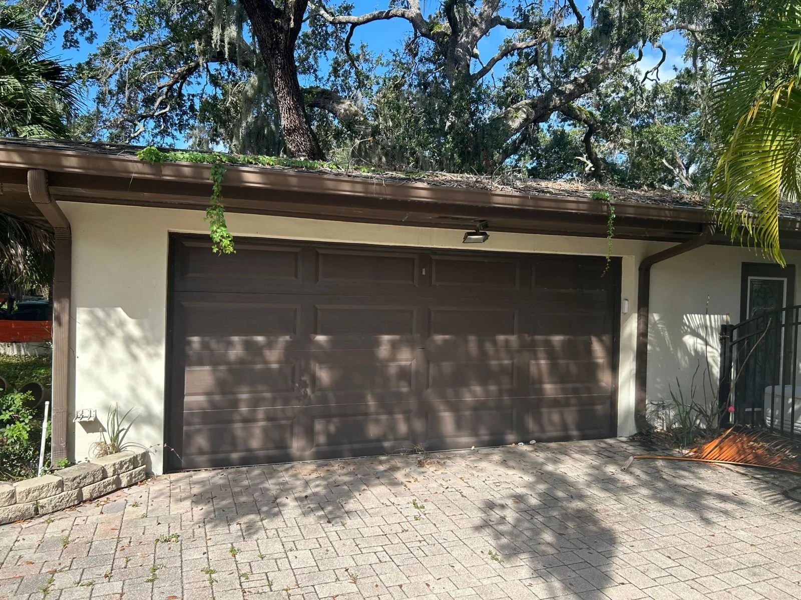 WhatsApp Image 2025-10-03 at 11.44.40_3e938ada.jpg