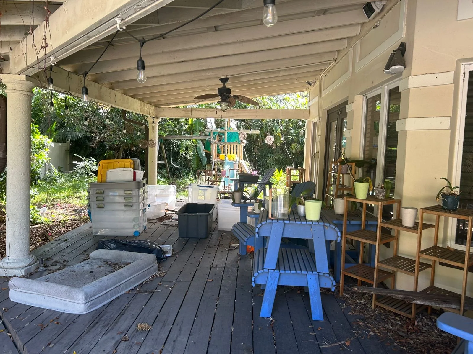 WhatsApp Image 2025-10-03 at 11.44.42_287a1a09.jpg