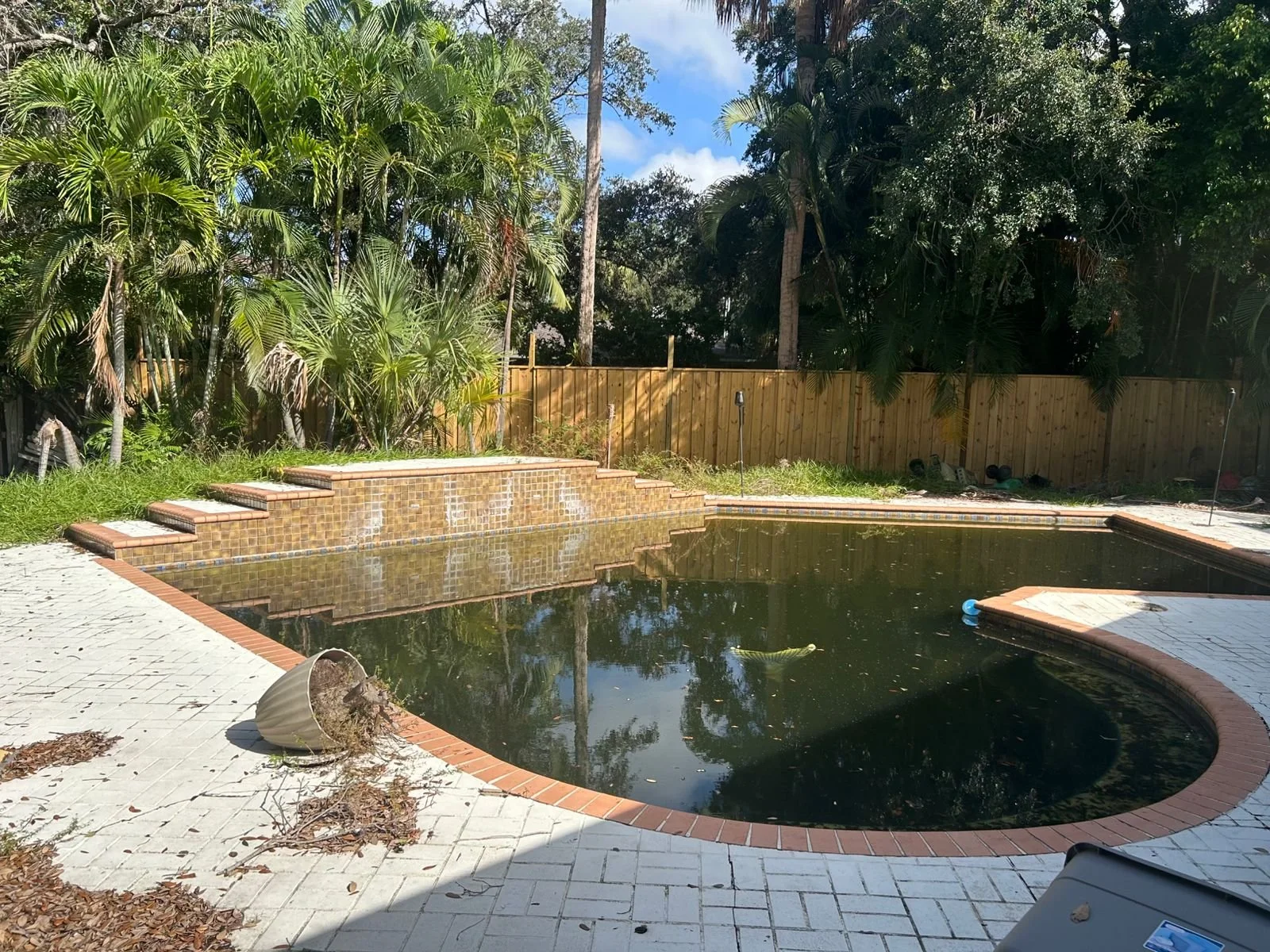 WhatsApp Image 2025-10-03 at 11.44.48_f732cc31.jpg