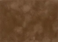 Camel_Velvet_Small_85728df0-6c51-4be6-b75d-ce8a3a553fa0.webp
