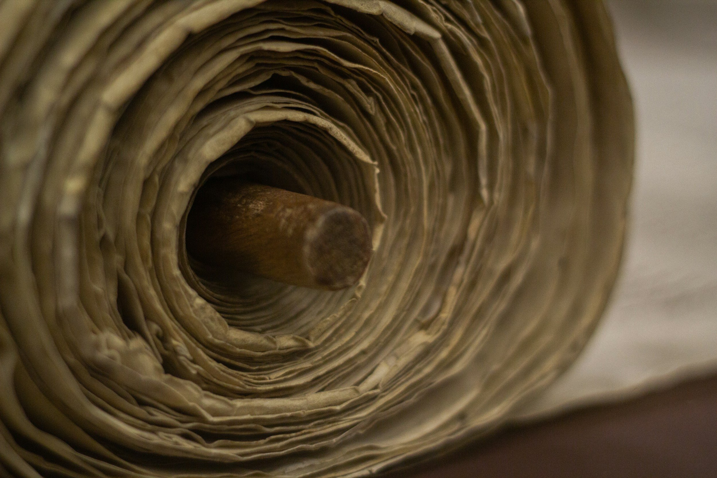 Inheritors of a Complex Torah