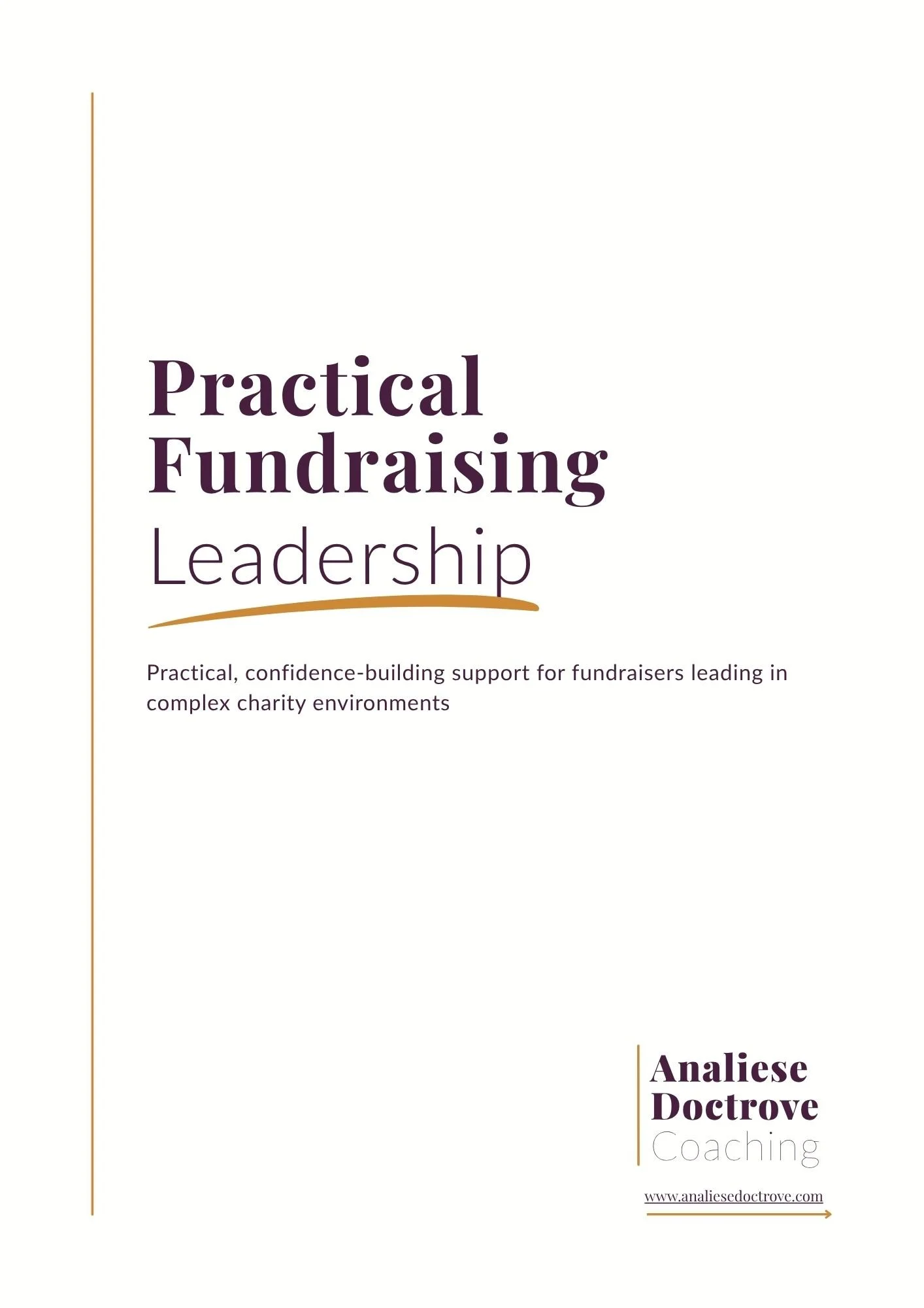 Practical Fundraising Leadership - Workbook