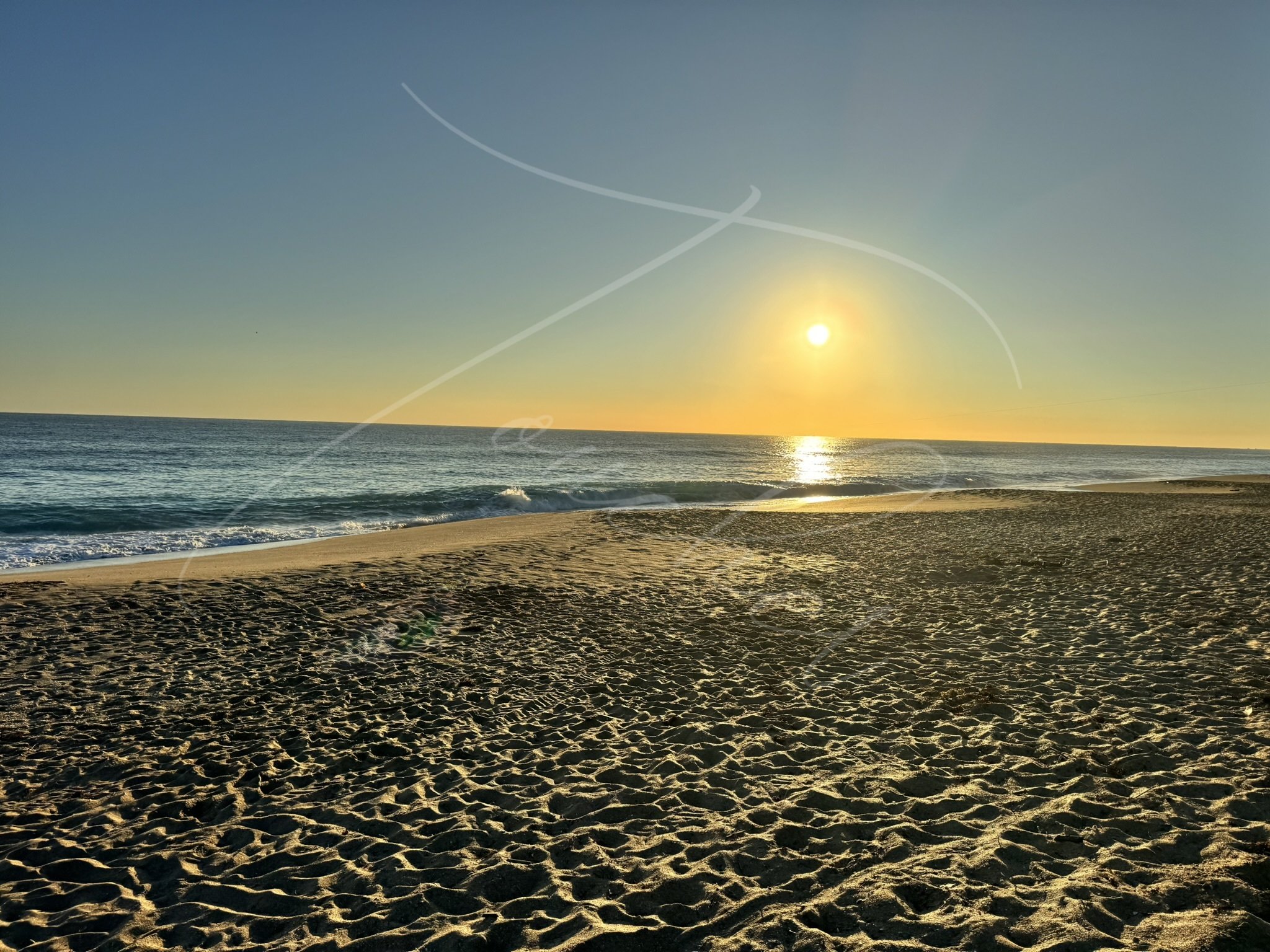 Beach Day
