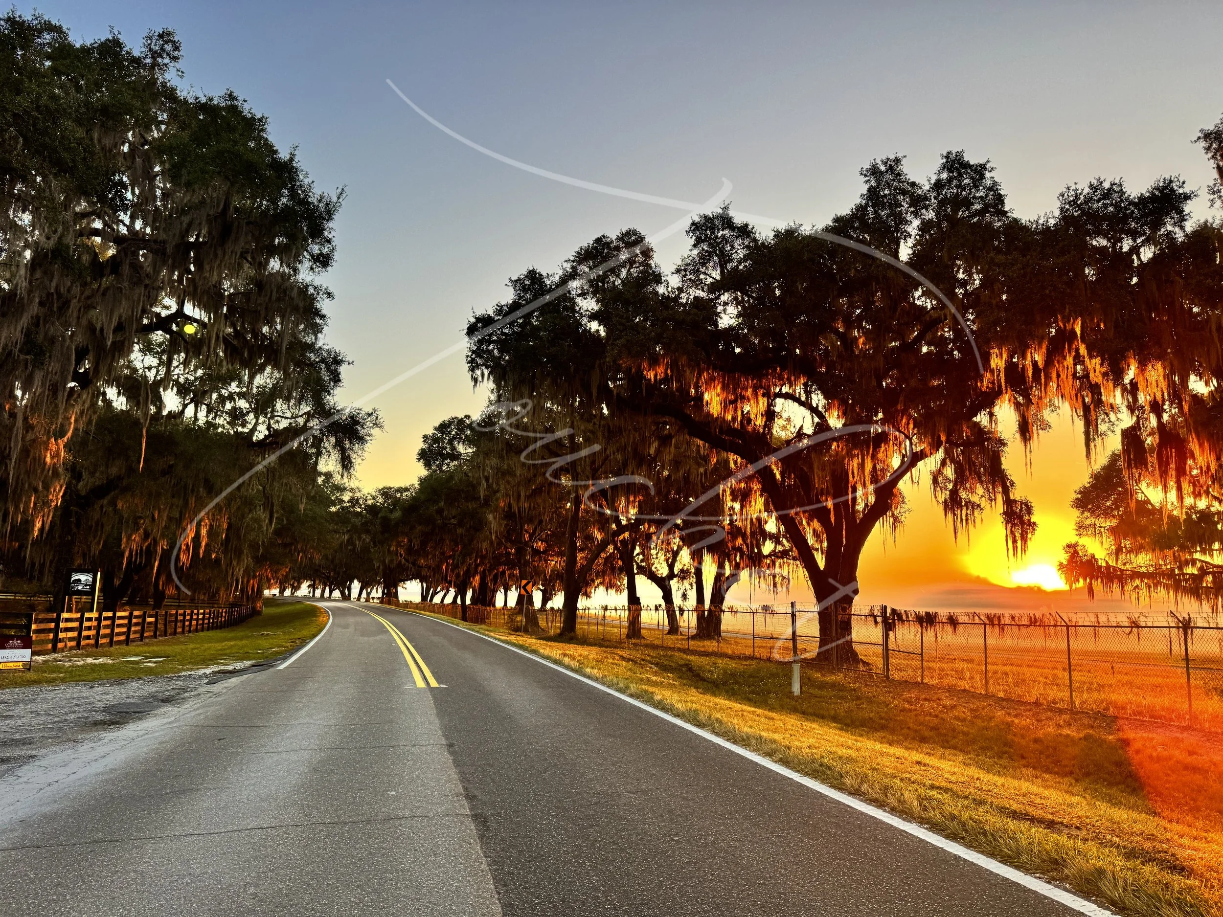 Country Canopy — Touchet Art