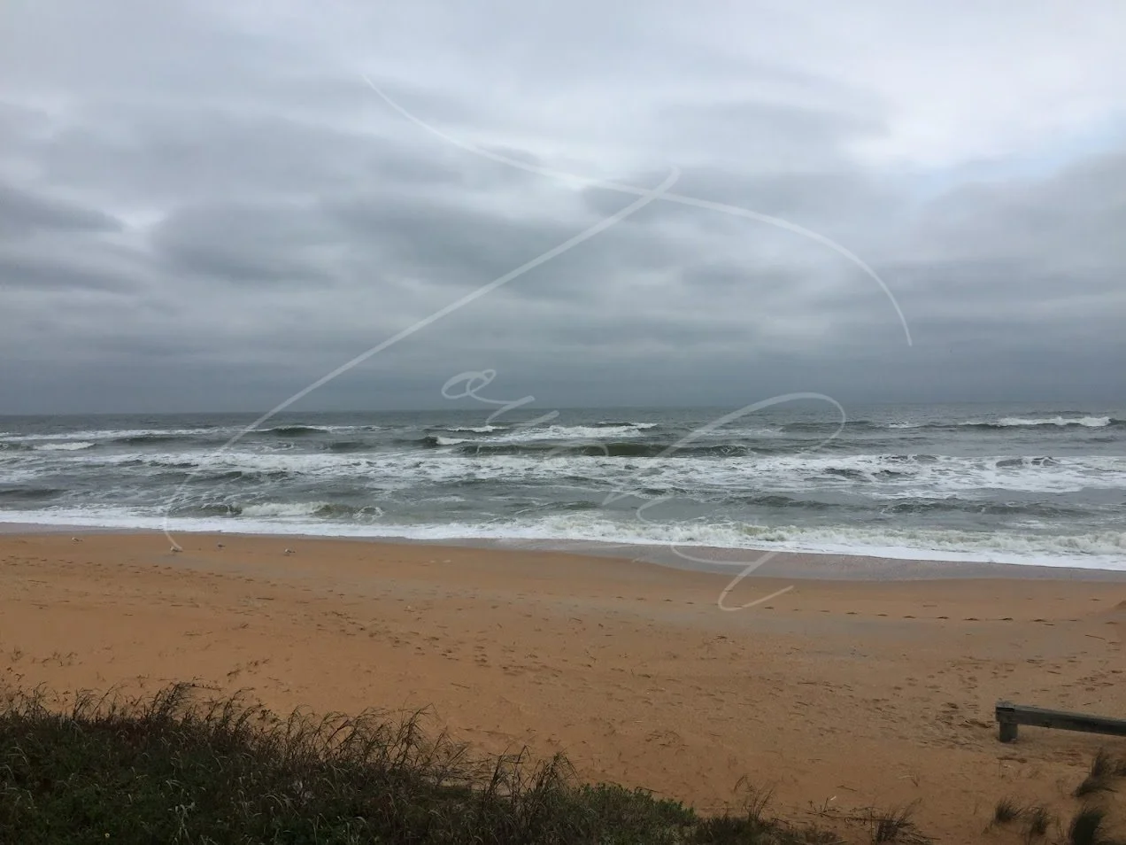 Stormy Shore