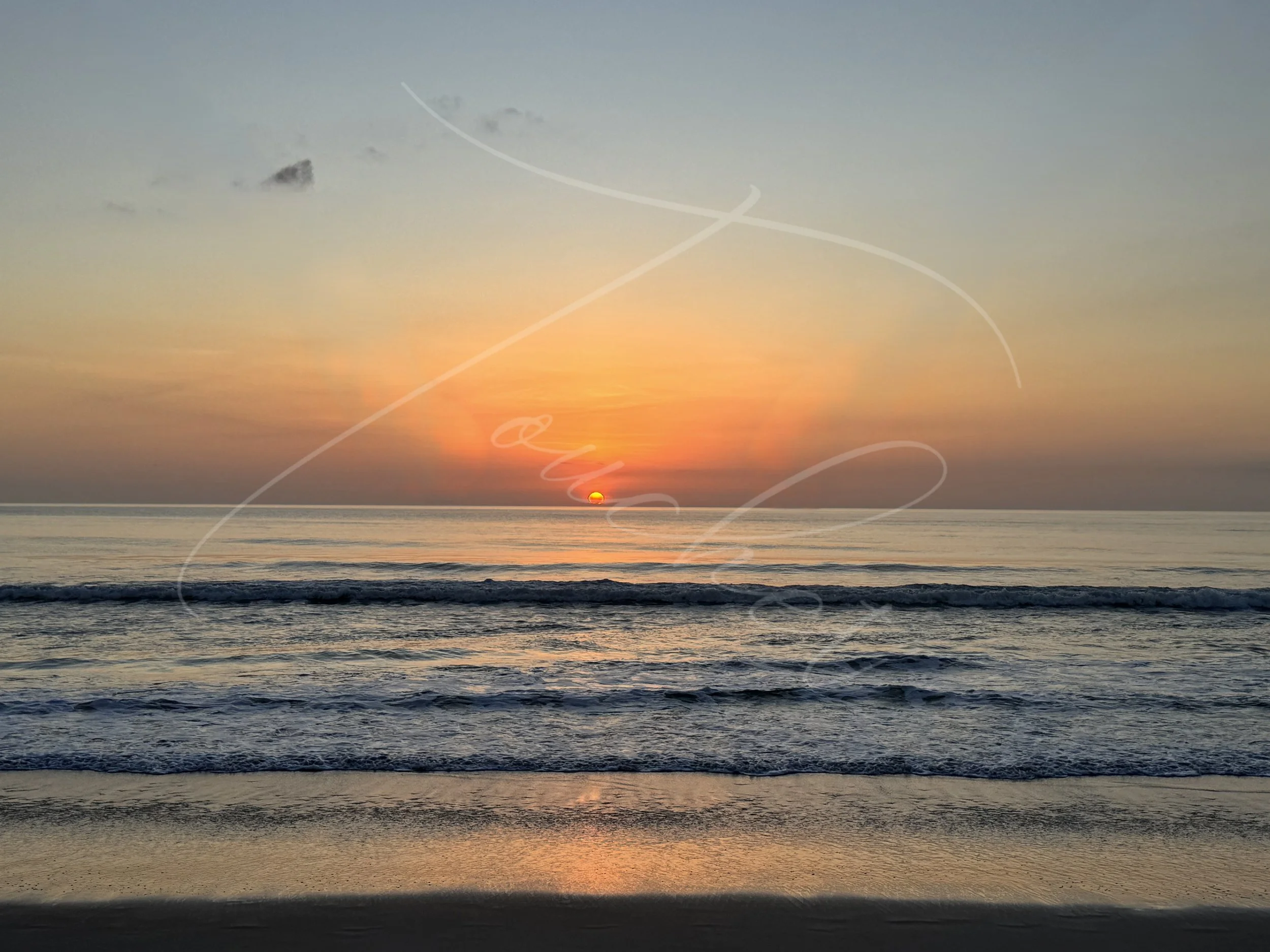 Early to Rise