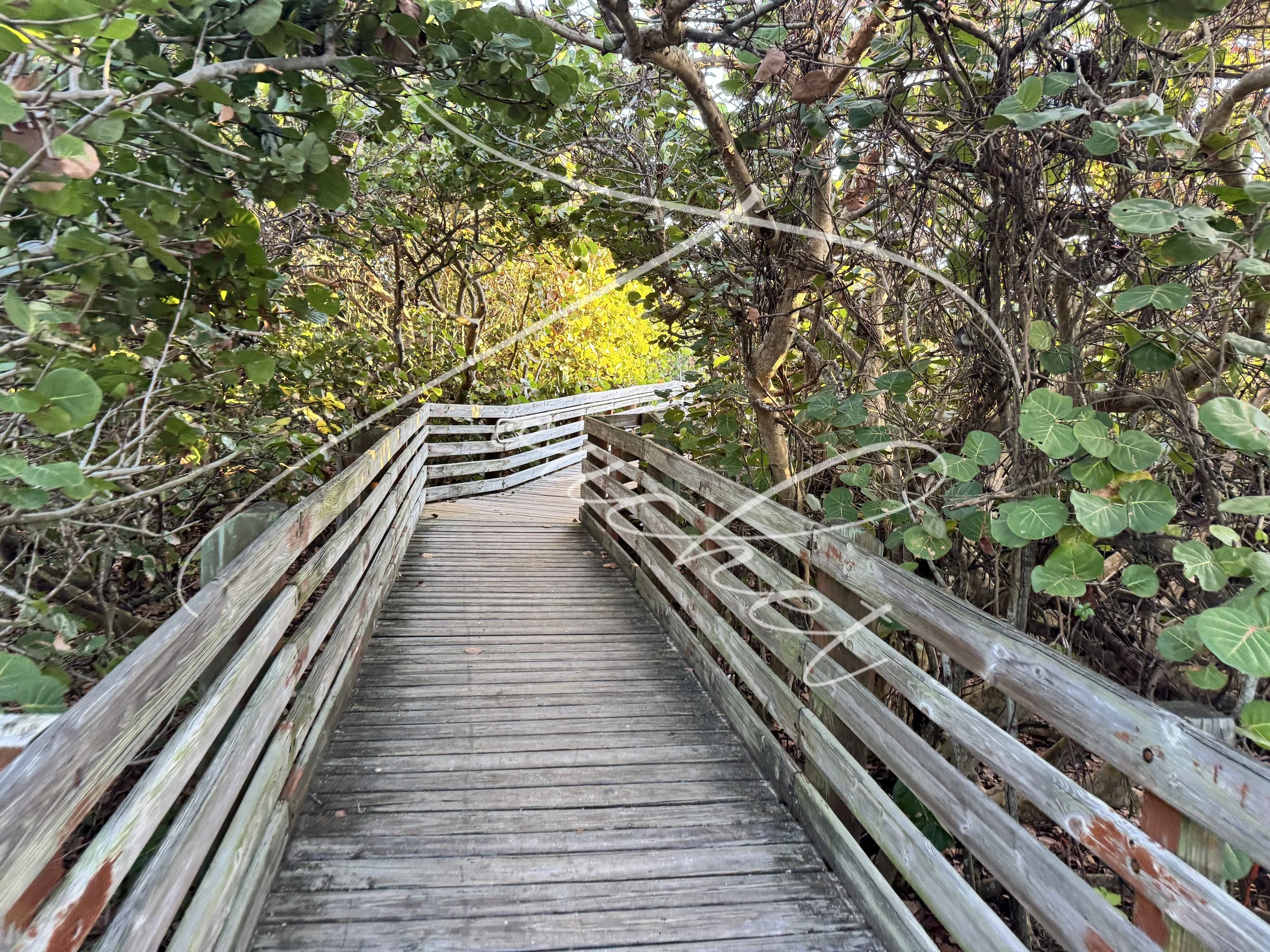 Walk to the Beach