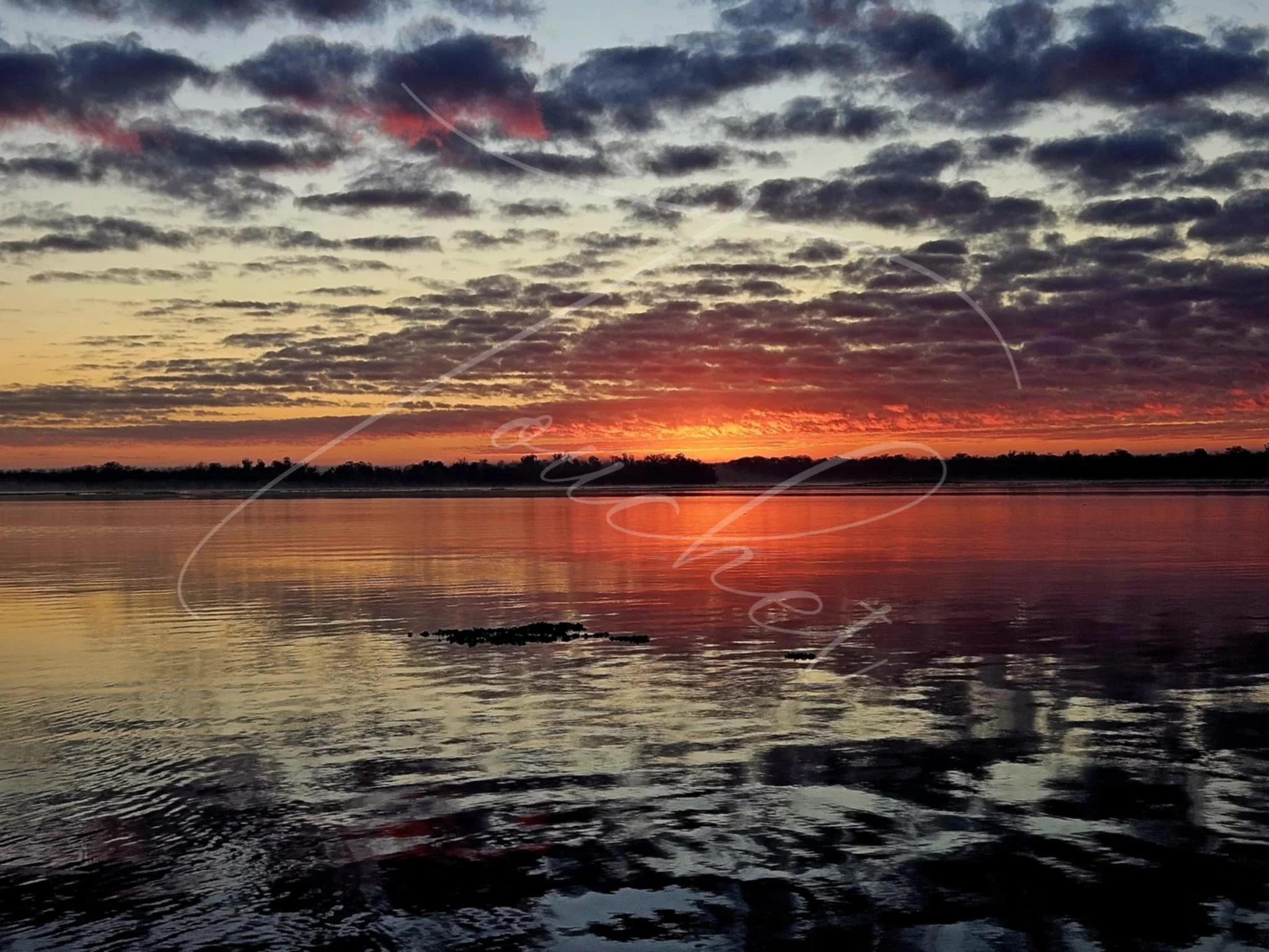 Edgewater