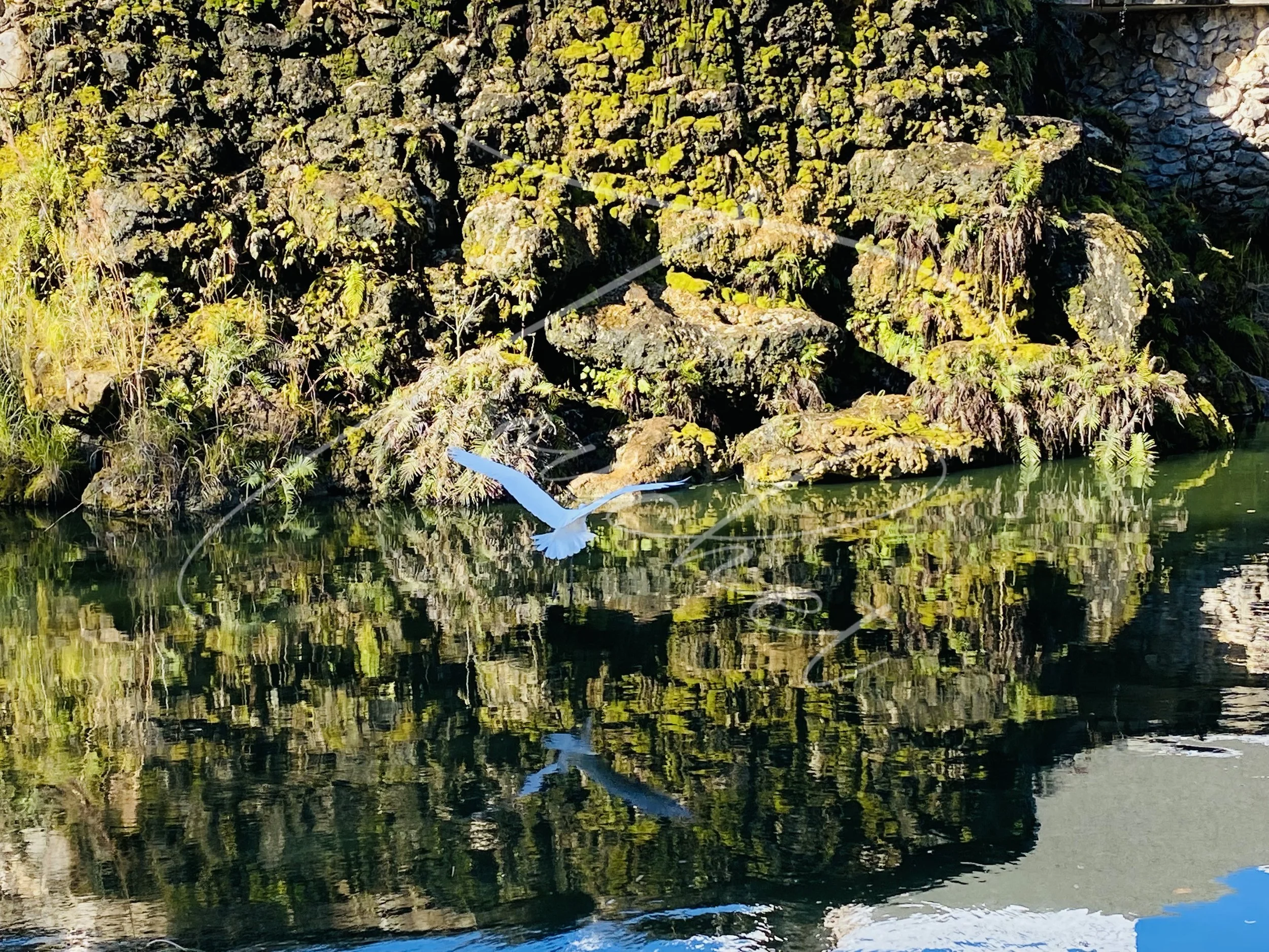 In Flight