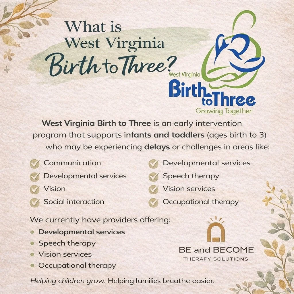 What is West Virginia Birth to Three?

If you&rsquo;ve ever wondered what &ldquo;Birth to Three&rdquo; actually means &hellip; you&rsquo;re not alone.

West Virginia Birth to Three is an early intervention program that supports infants and toddlers (