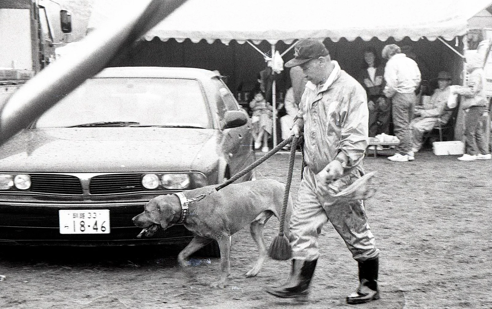A person walking a dog in a park or outdoor area, with a car and a tent with people in the background.