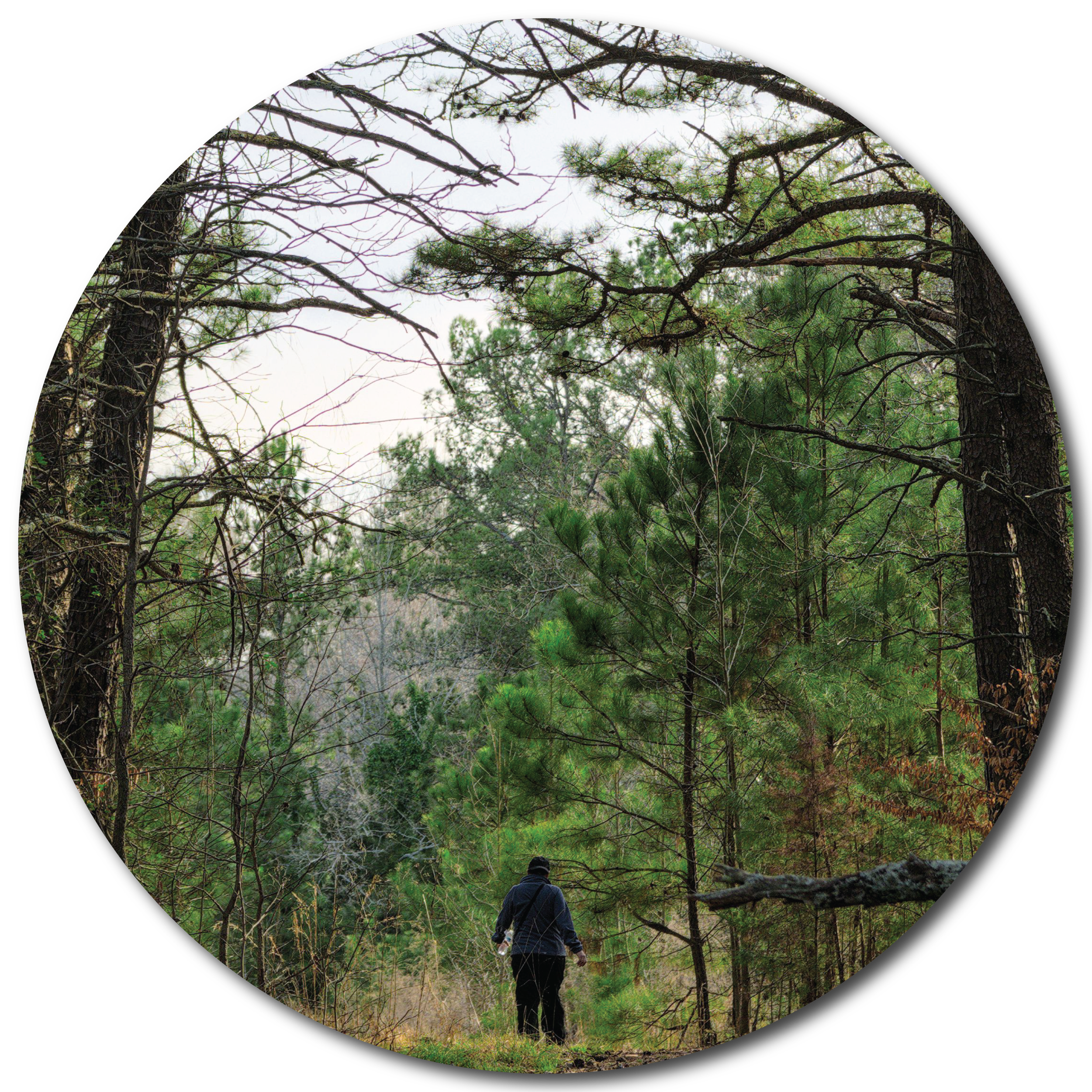 A person hiking through a forest with tall trees and dense foliage: Your Inner Child Advocate| KAP Retreat
