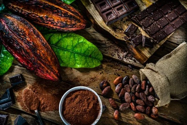 Le cacao entre histoire et artisanat 4.jpg