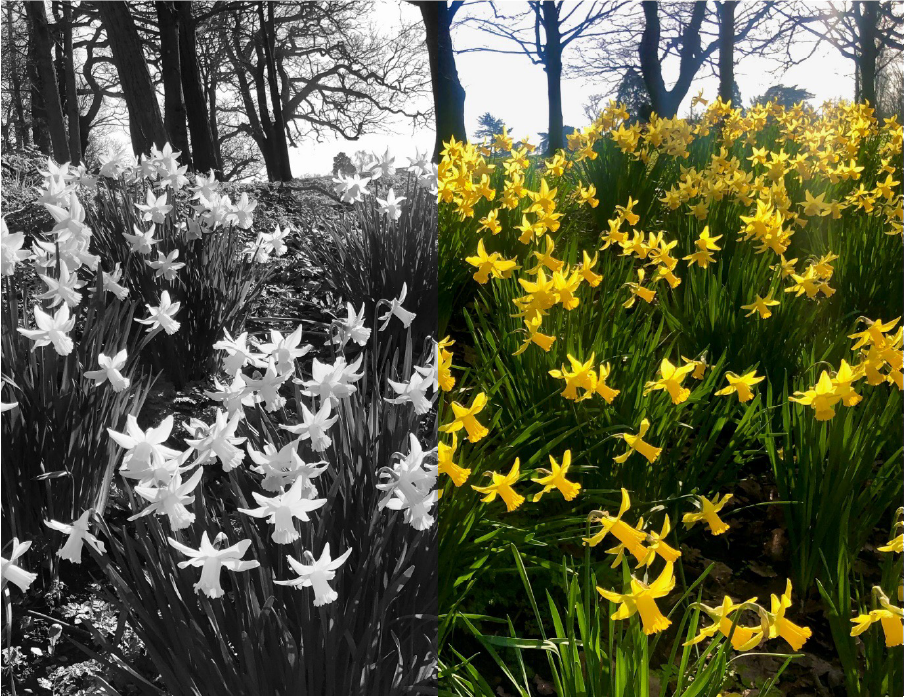 Spring Isn’t Always Sunshine