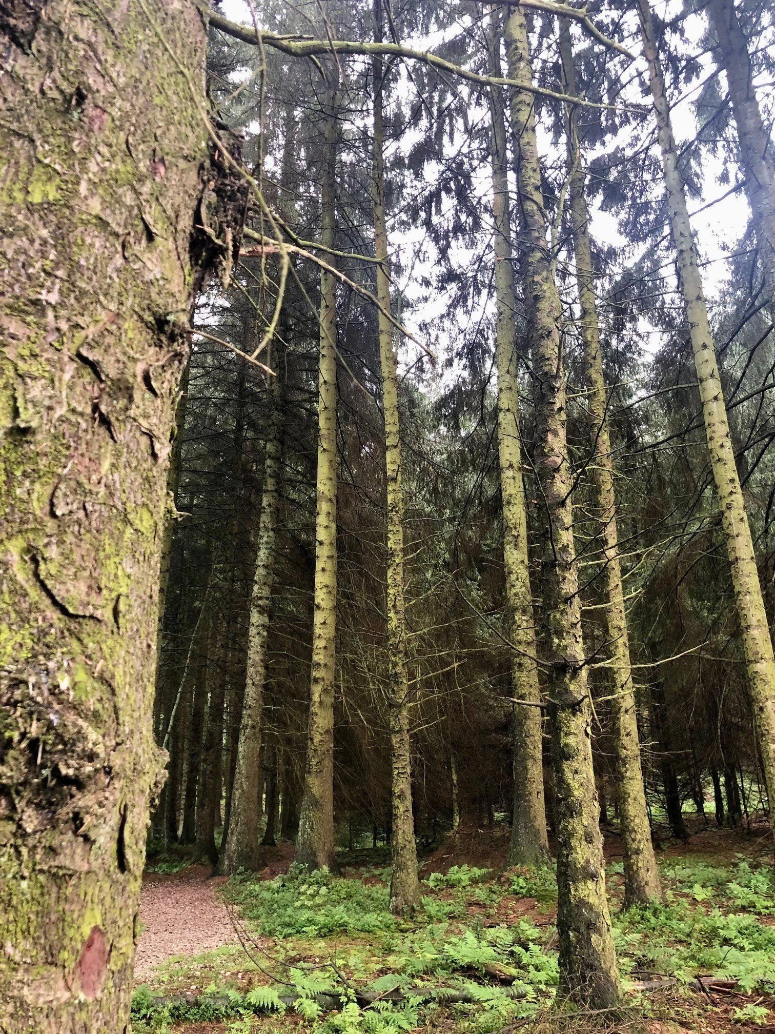 The Mid-Year Pressure Valve: Finding Calm in a Heated June