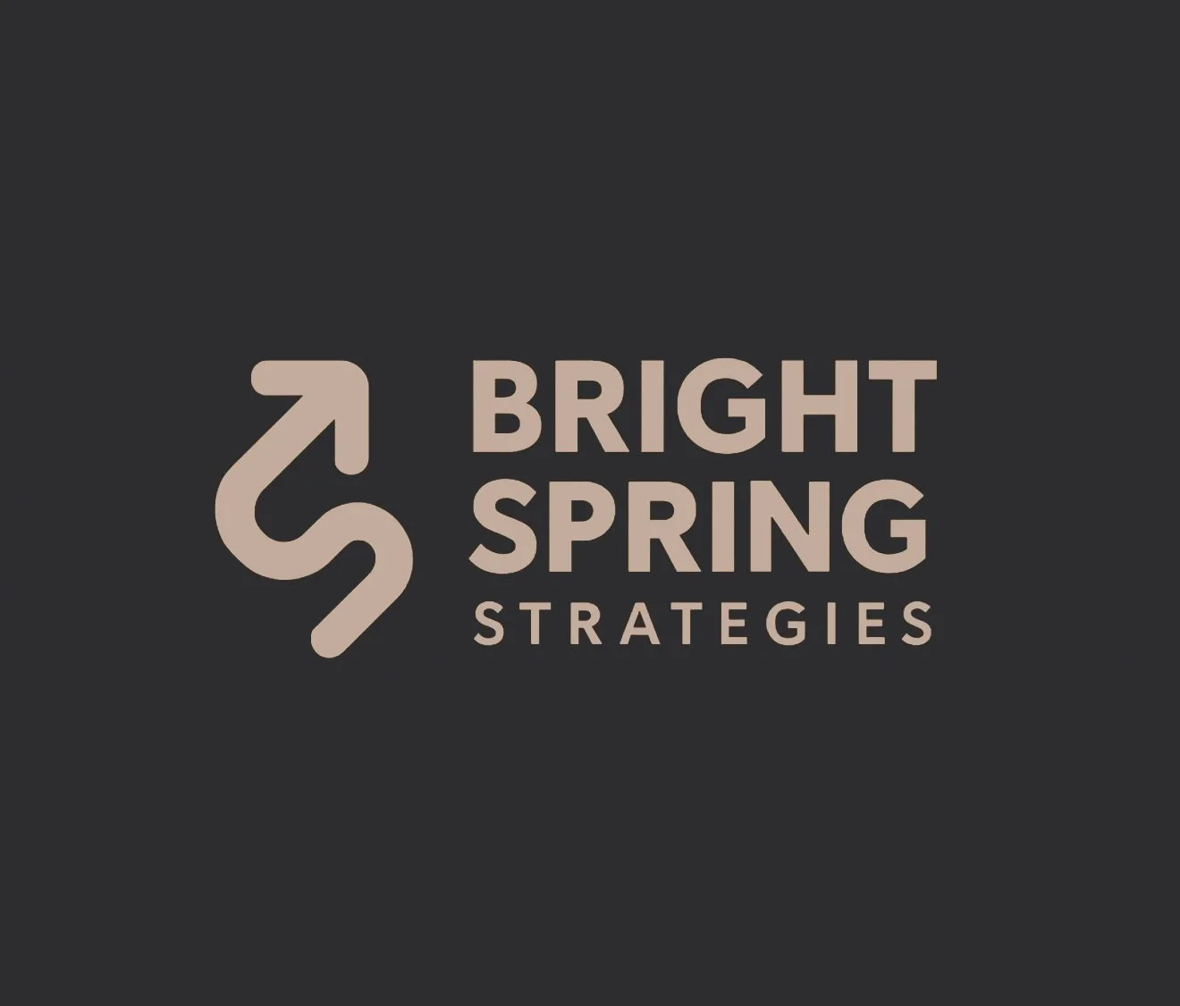 BrightSpring Strategies, LLC