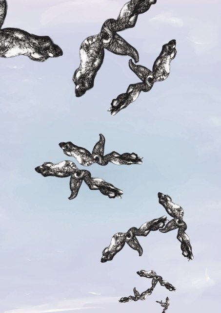 Falsche Bewegung (2025)