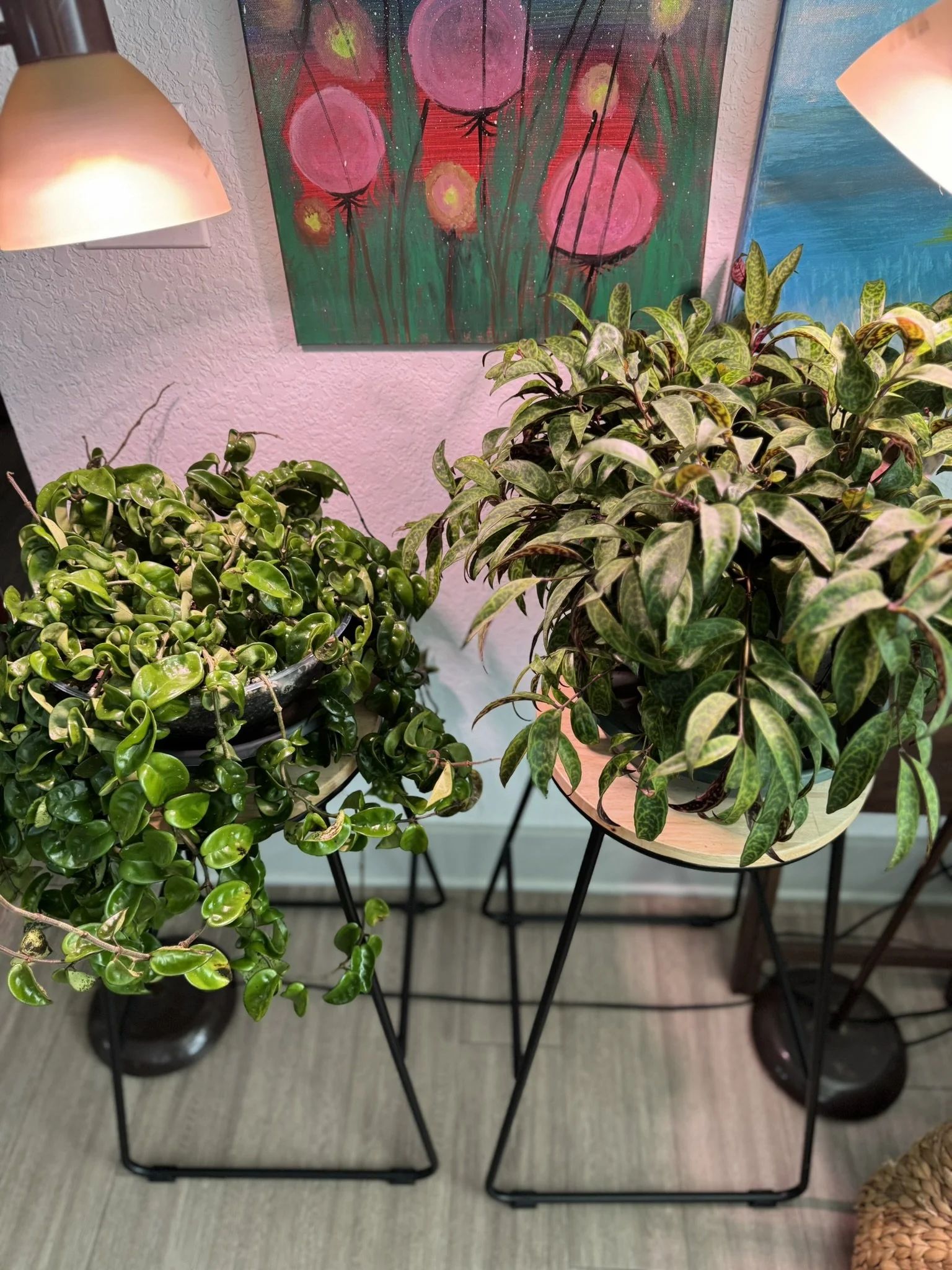 Delayed Doesn’t Mean Denied — But It Still Means Delayed