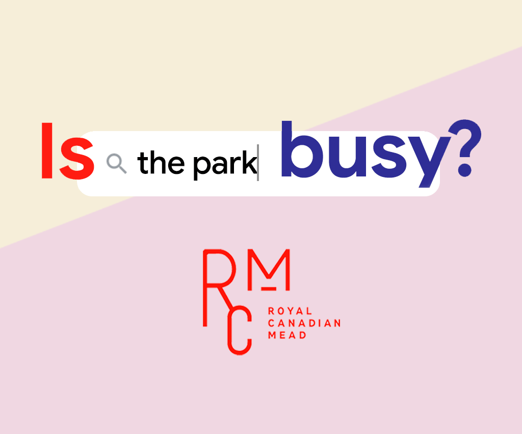 IsTheParkBusy.com