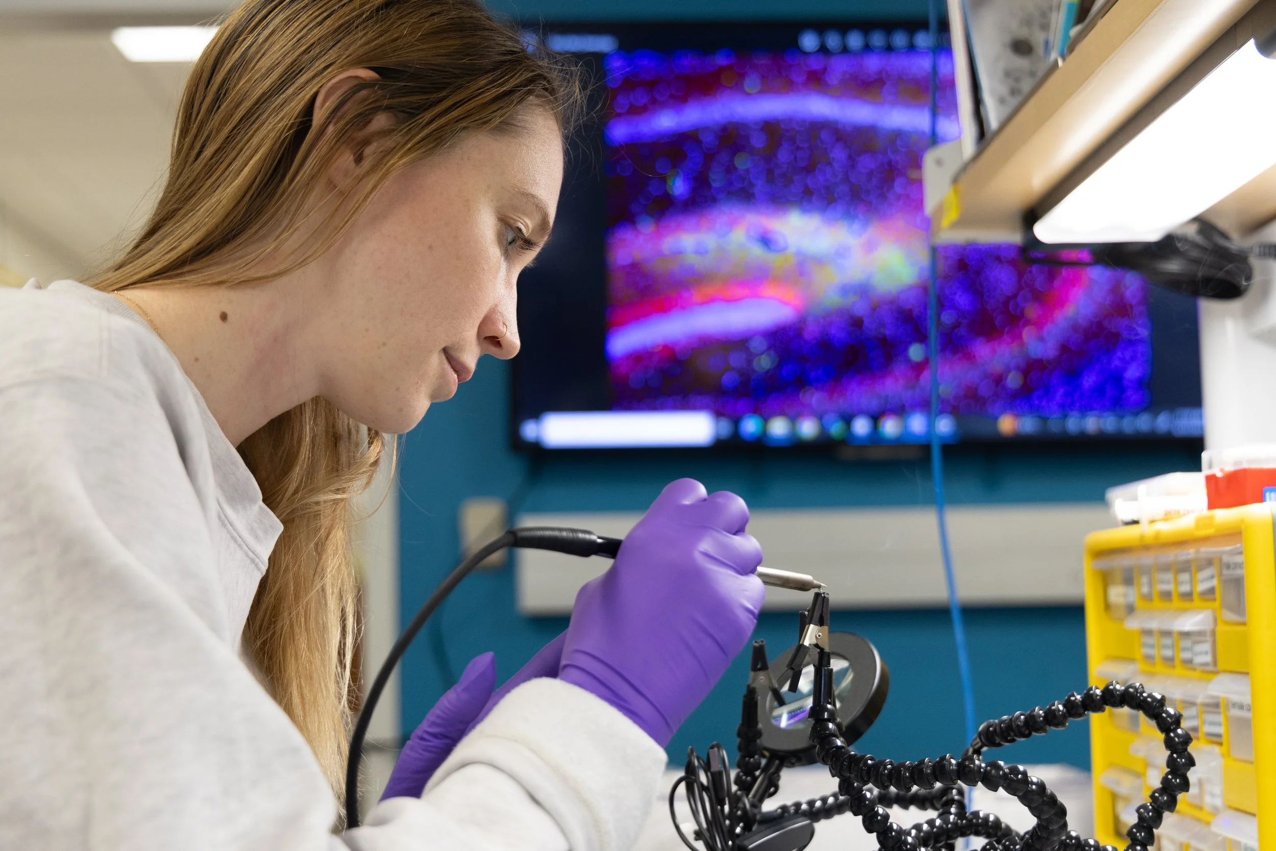 Meg working at a lab bench