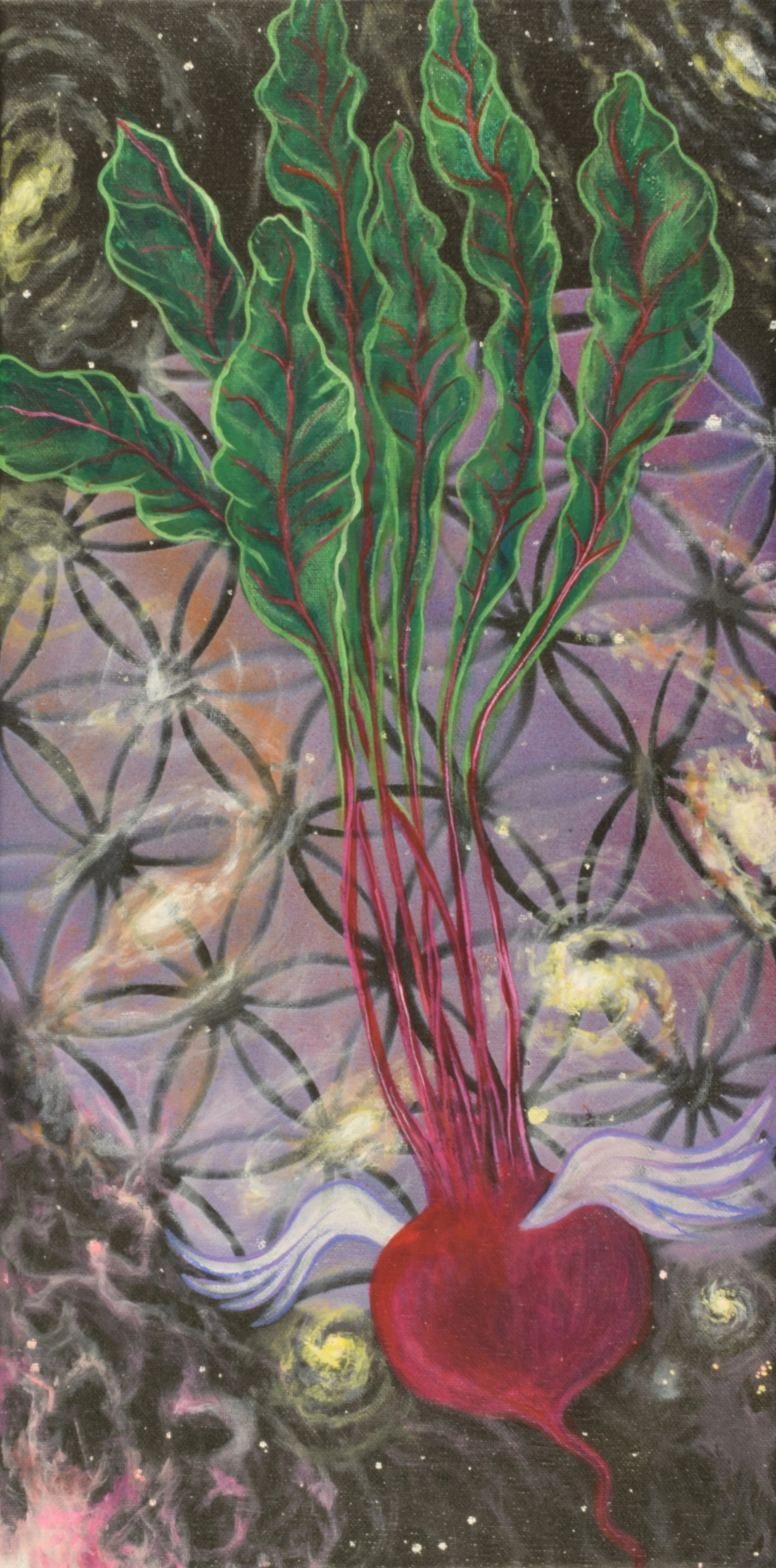 "Sacred Beet" - acrylic on canvas - 10"x20" - 2016