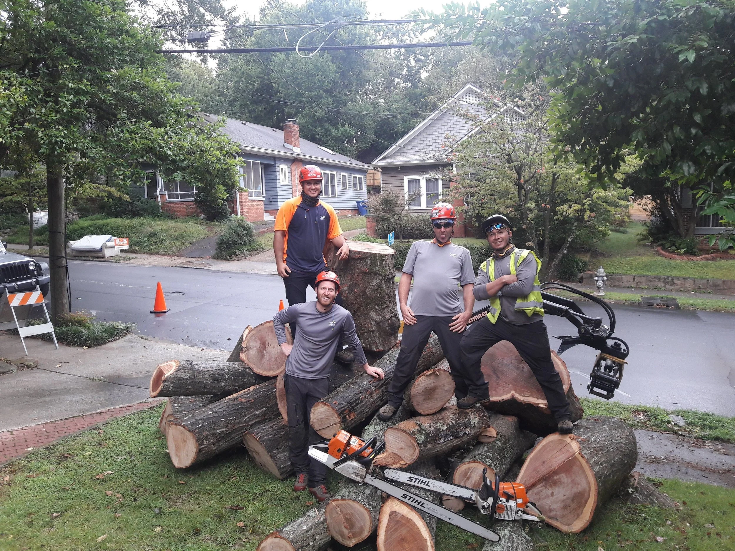 Four men in safety gear and helmets standing on cut logs in a residential neighborhood after tree removal, with chainsaws on the ground and orange safety cones on the street.