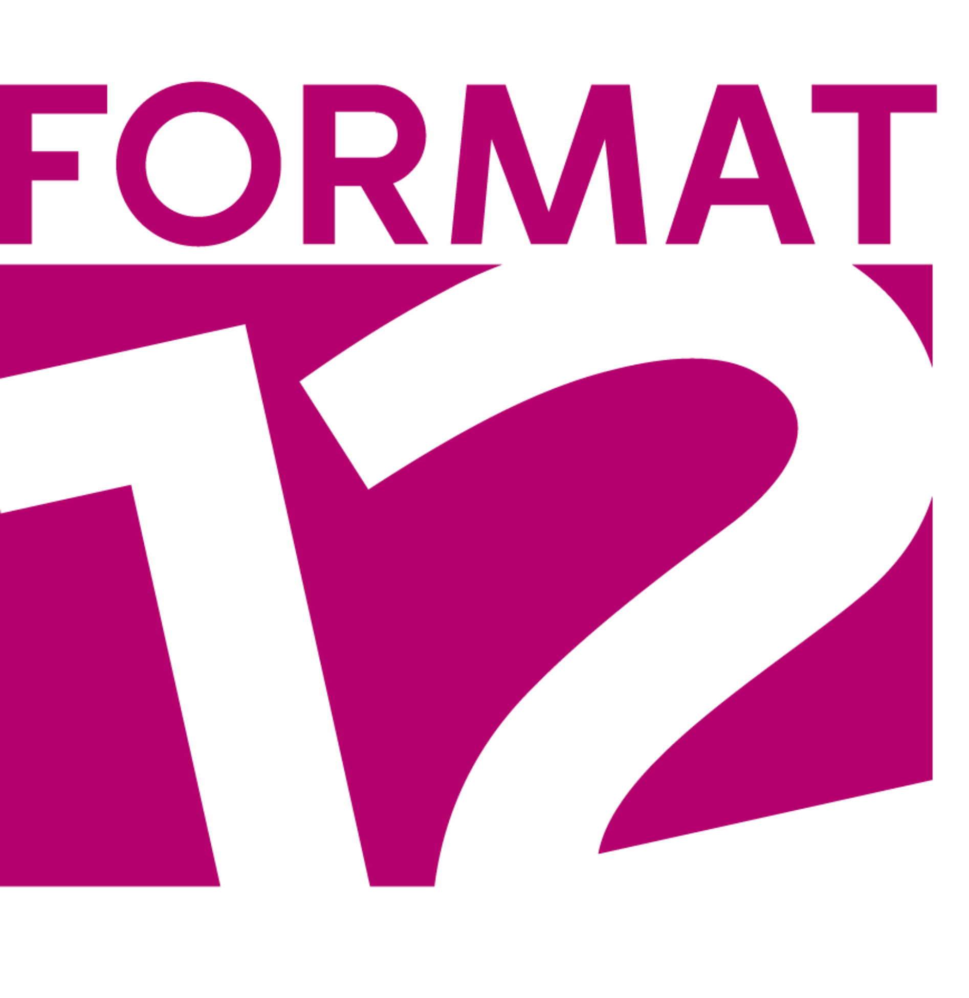 Logo Format 12