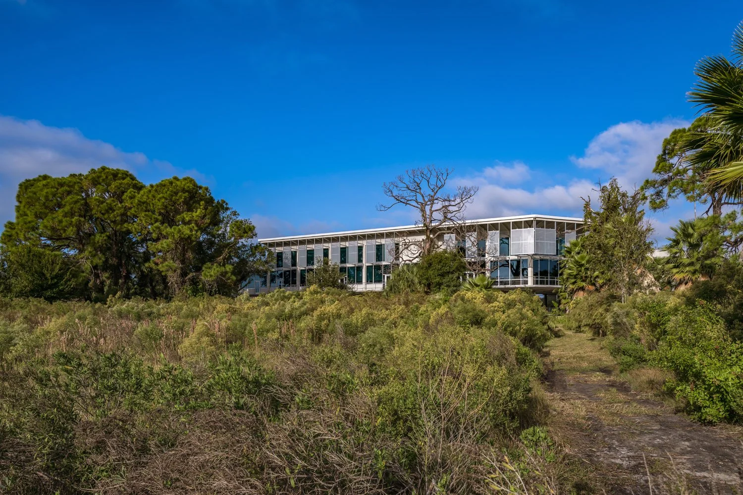 3_RoweArchitects_BayPinesSTEMCenter_Exterior.jpg
