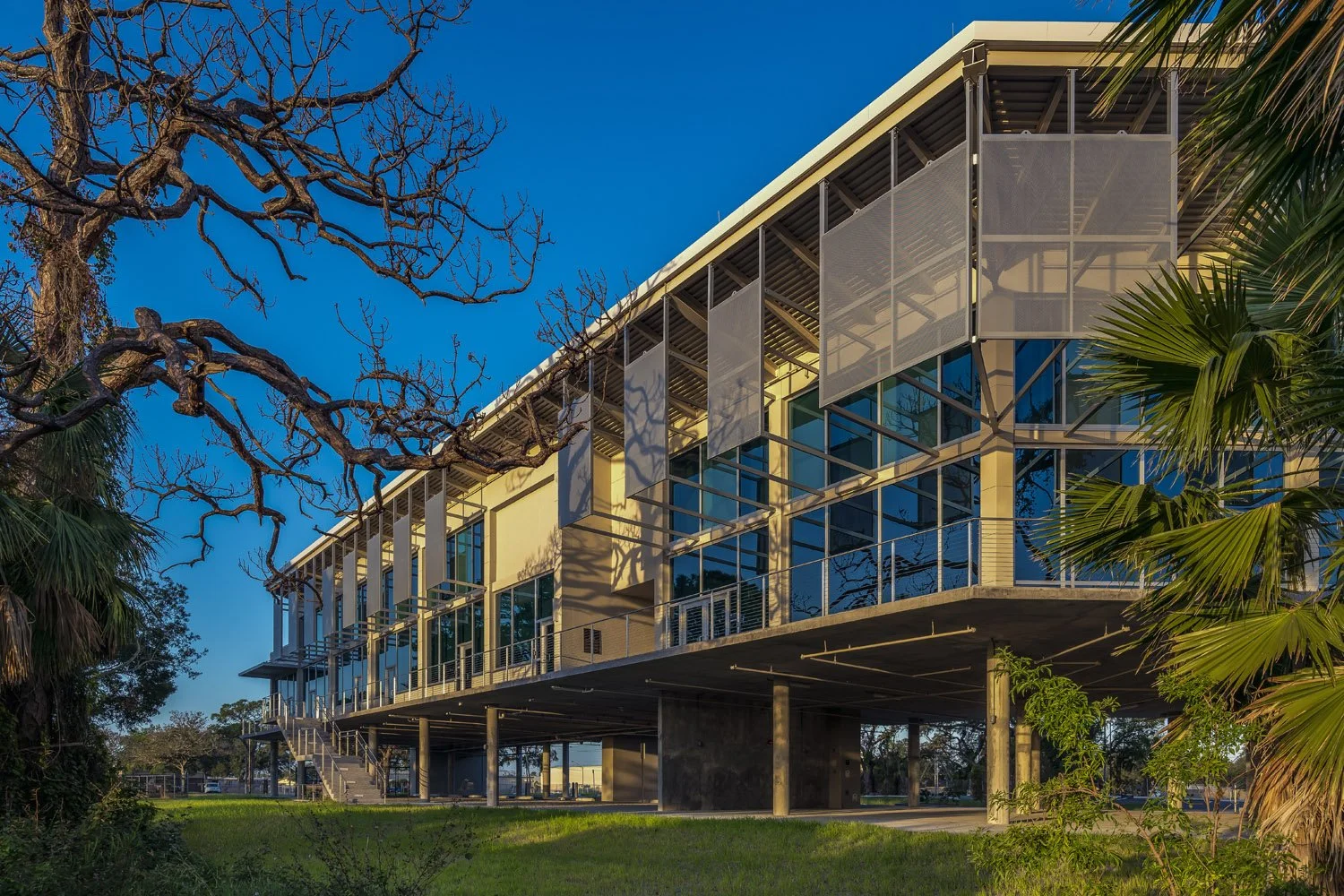 4_RoweArchitects_BayPinesSTEMCenter_Exterior.jpg