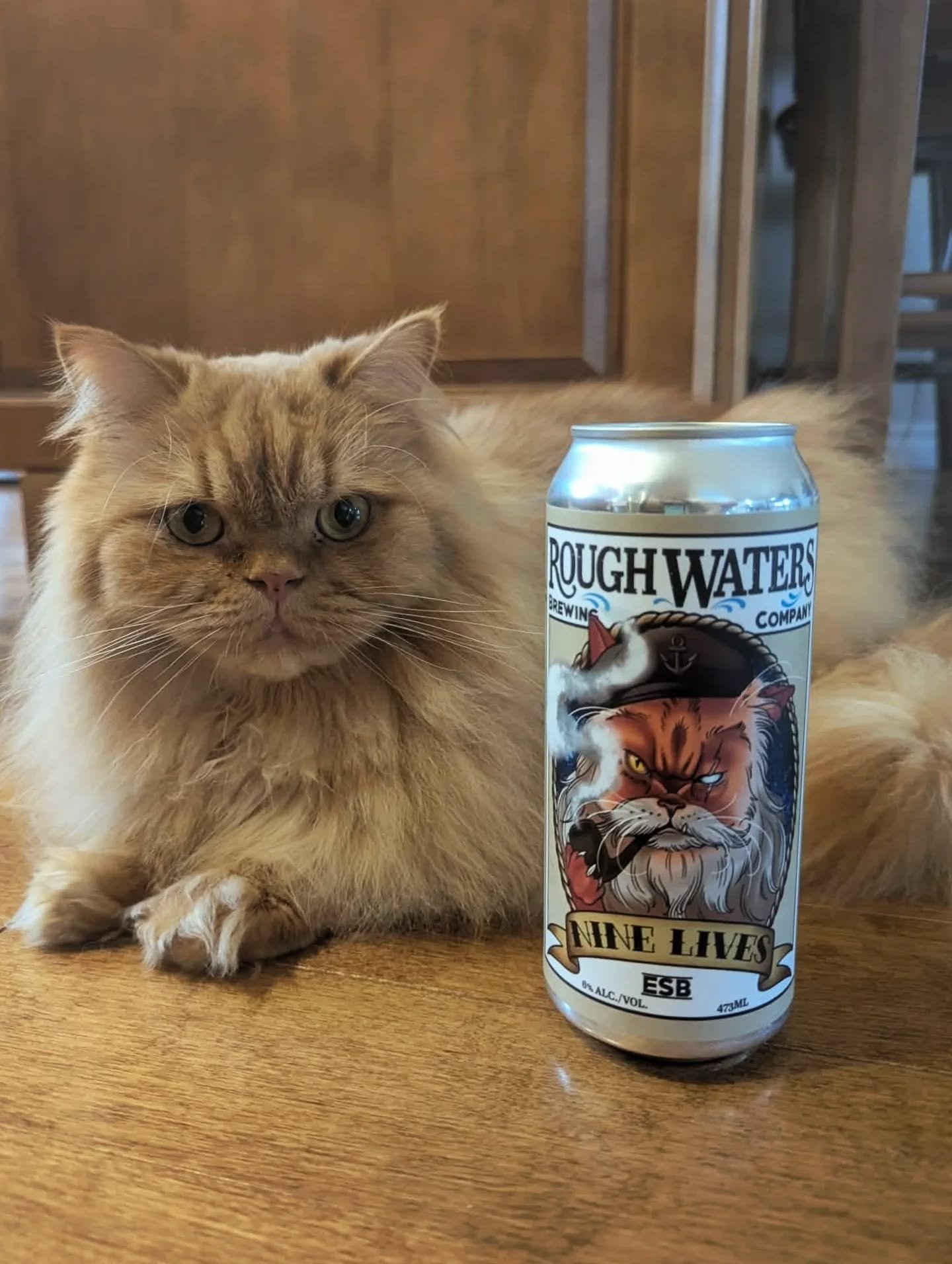 Our Nine Lives ESB is officially hitting shelves across the province!

While our resident floof-commander looks a bit softer than the salty sea captain on the label, they&rsquo;re both equally "Extra Special."

Don't let the name "Bitt