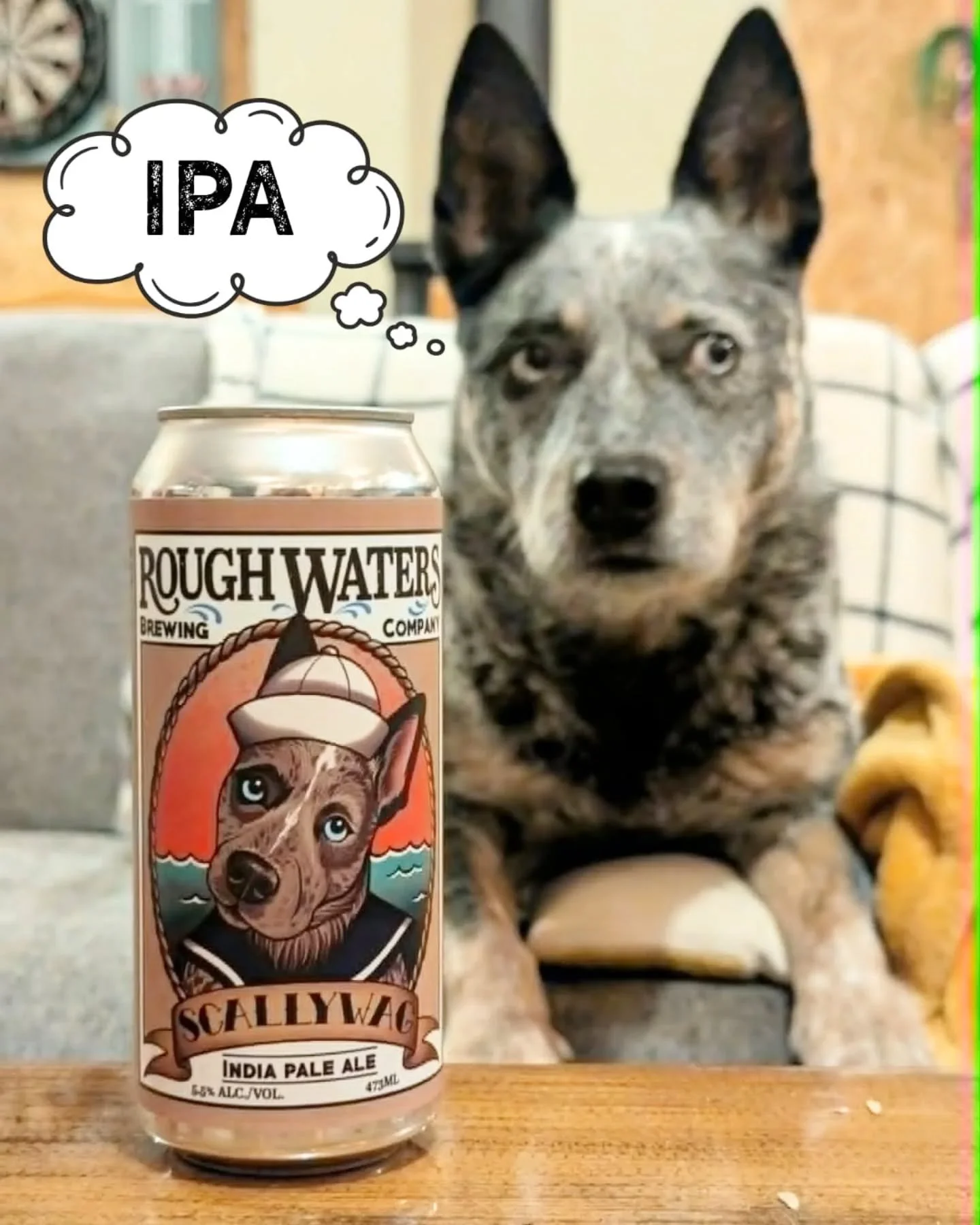 The weekend is officially here, so what&rsquo;s everyone cracking open tonight? 👀

We&rsquo;re currently debating our own weekend lineup: big hop energy with an IPA? Crisp Mist seltzer? Puckering up with a Sou'Wester Sour? No wrong answers here as l