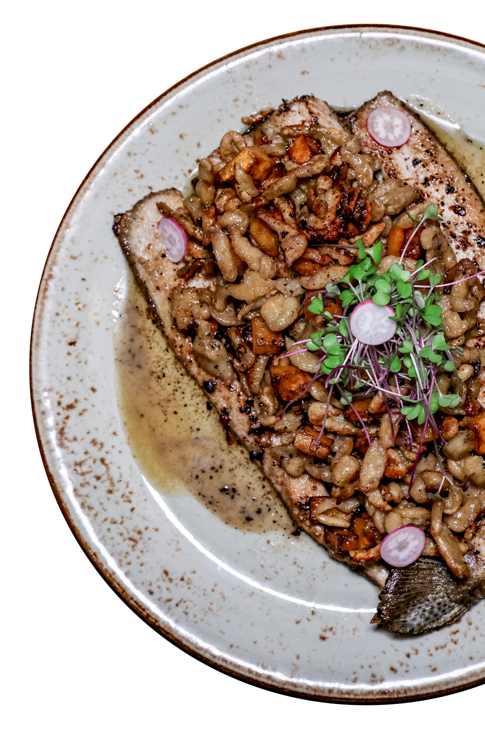Town Council Kitchen & Bar | Enjoy Elevated Dining Today