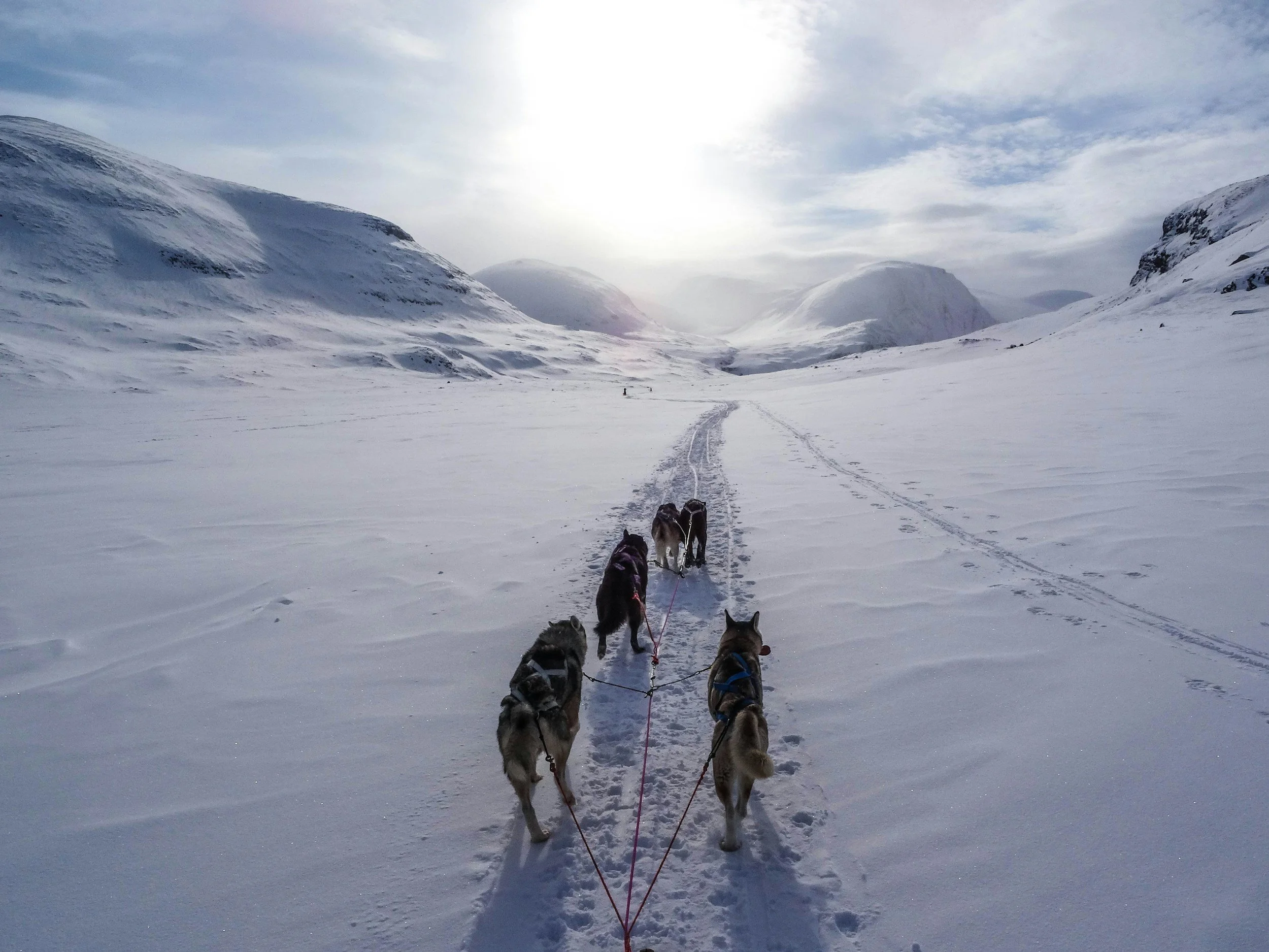 A team of five huskies pulling a sled through snowy mountainous landscape under a cloudy sky.