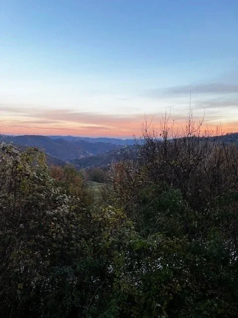 Sunset over rolling hills with trees in the foreground.