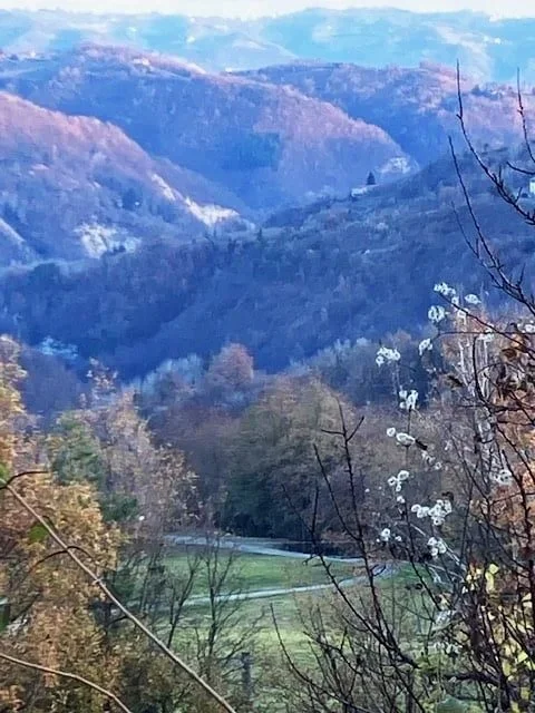 Mountain landscape with rolling hills, some trees, and a winding road in the foreground at Roccaverano.
