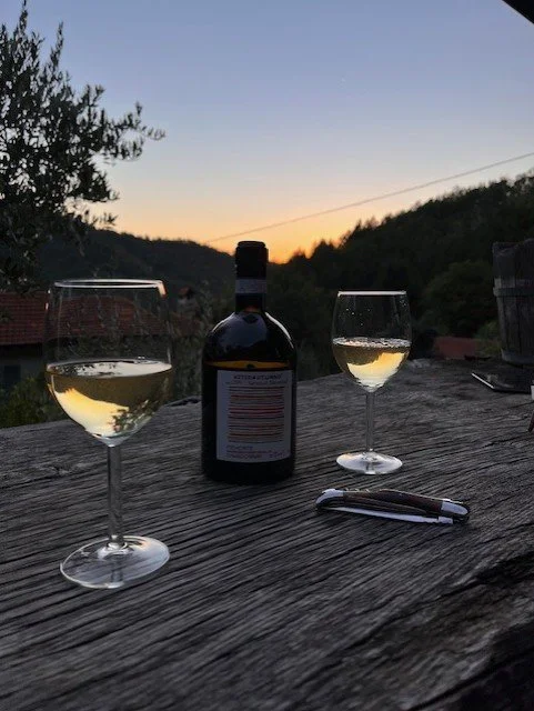 Two glasses of white wine of Teo Costa during sunset with mountains and trees in the background at Olmo Gentile.