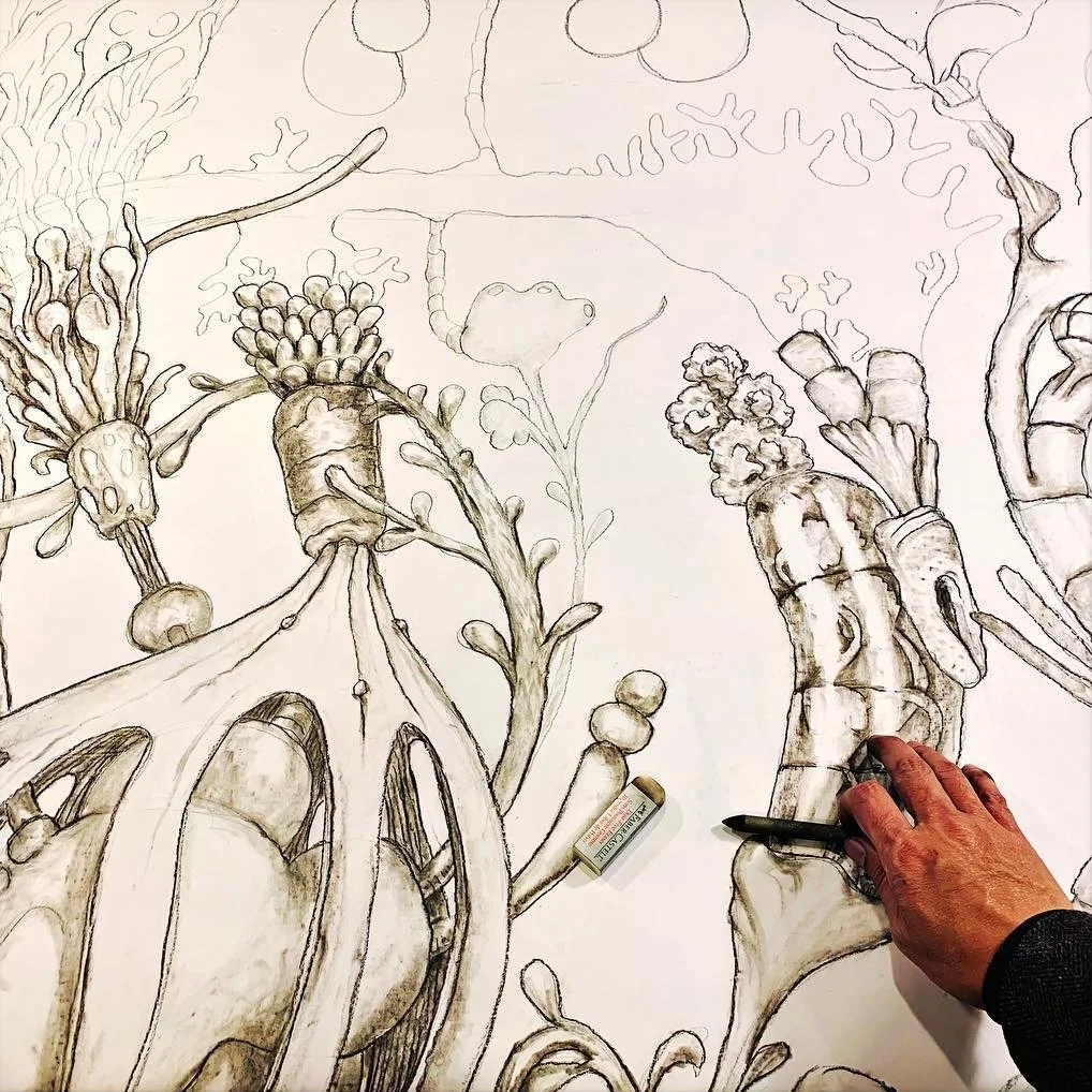 A hand sketching a detailed illustration of various vegetables and plants on a large sheet of paper with a black marker. The sketch includes elements like cauliflower, broccoli, and other leafy greens.