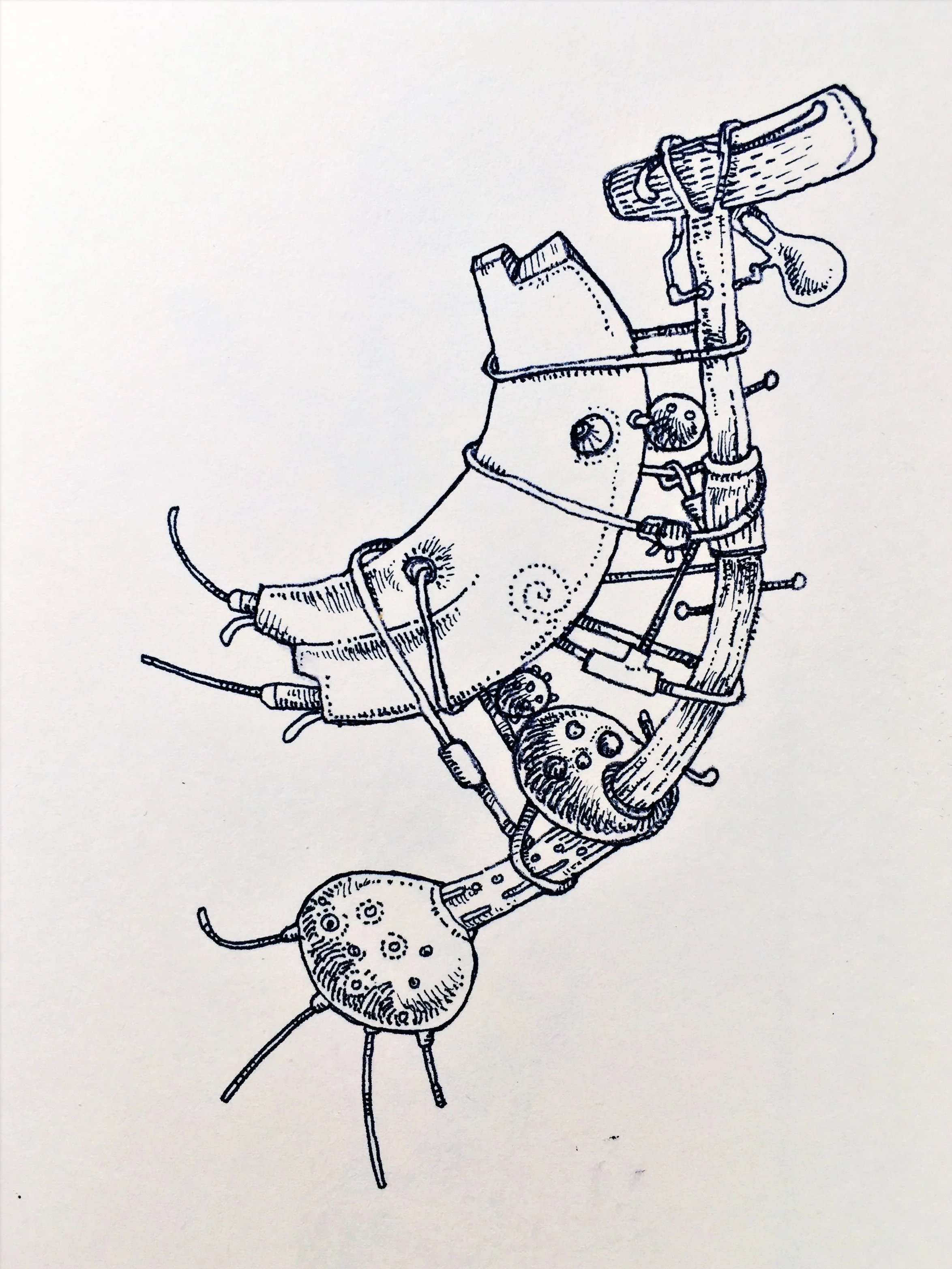 Calico Sculpture - Ink on paper, 2011