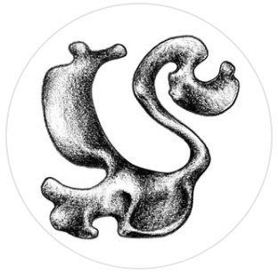 A black and white drawing of an abstract, three-pronged shape with rounded edges and irregular surface texture.