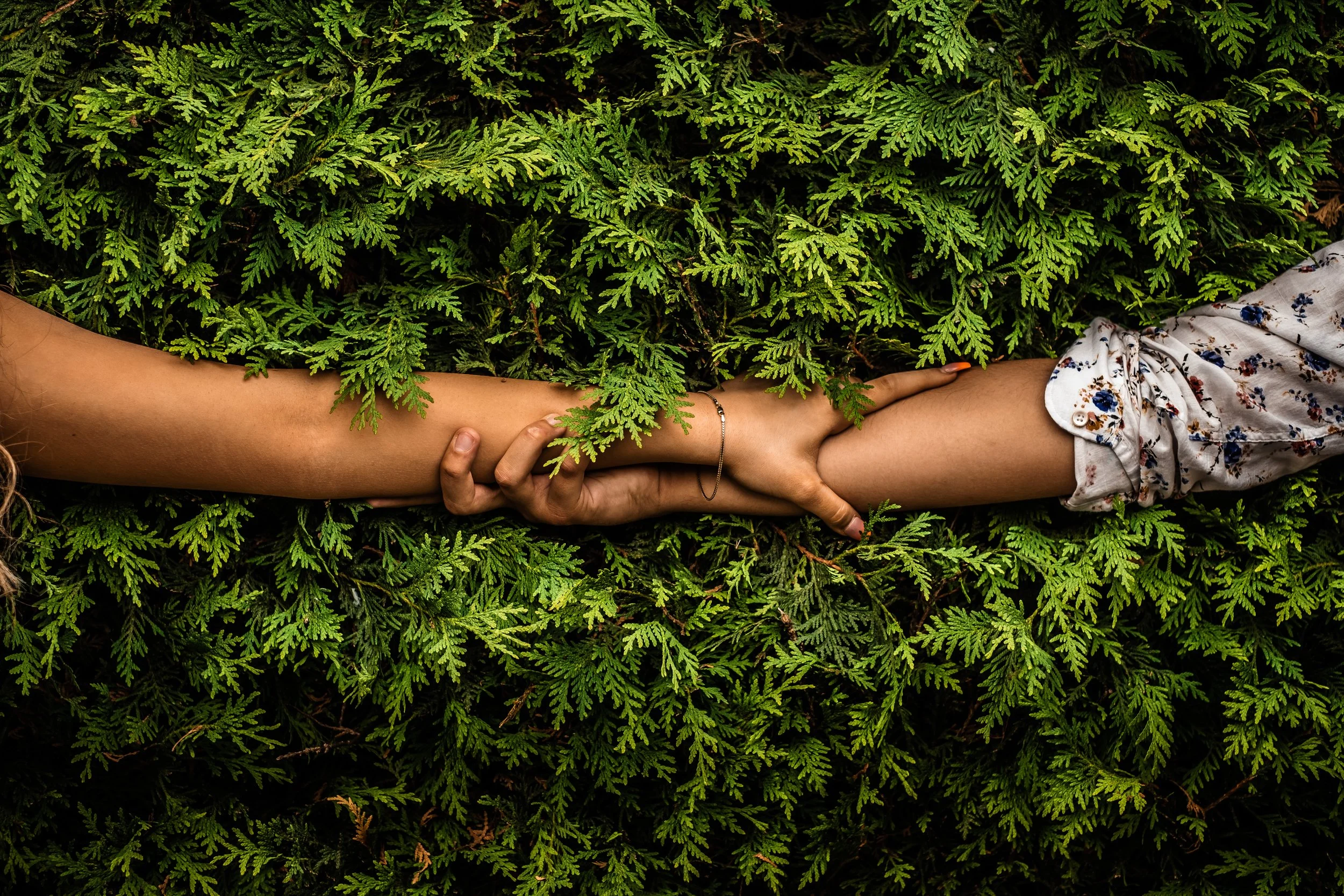 Videographer in Montreal capturing professional music videos, corporate videos, and live events. HiTwo people lying on lush green foliage, holding hands with relaxed fingers, one person wearing a short-sleeve top and the other wearing a floral dress.