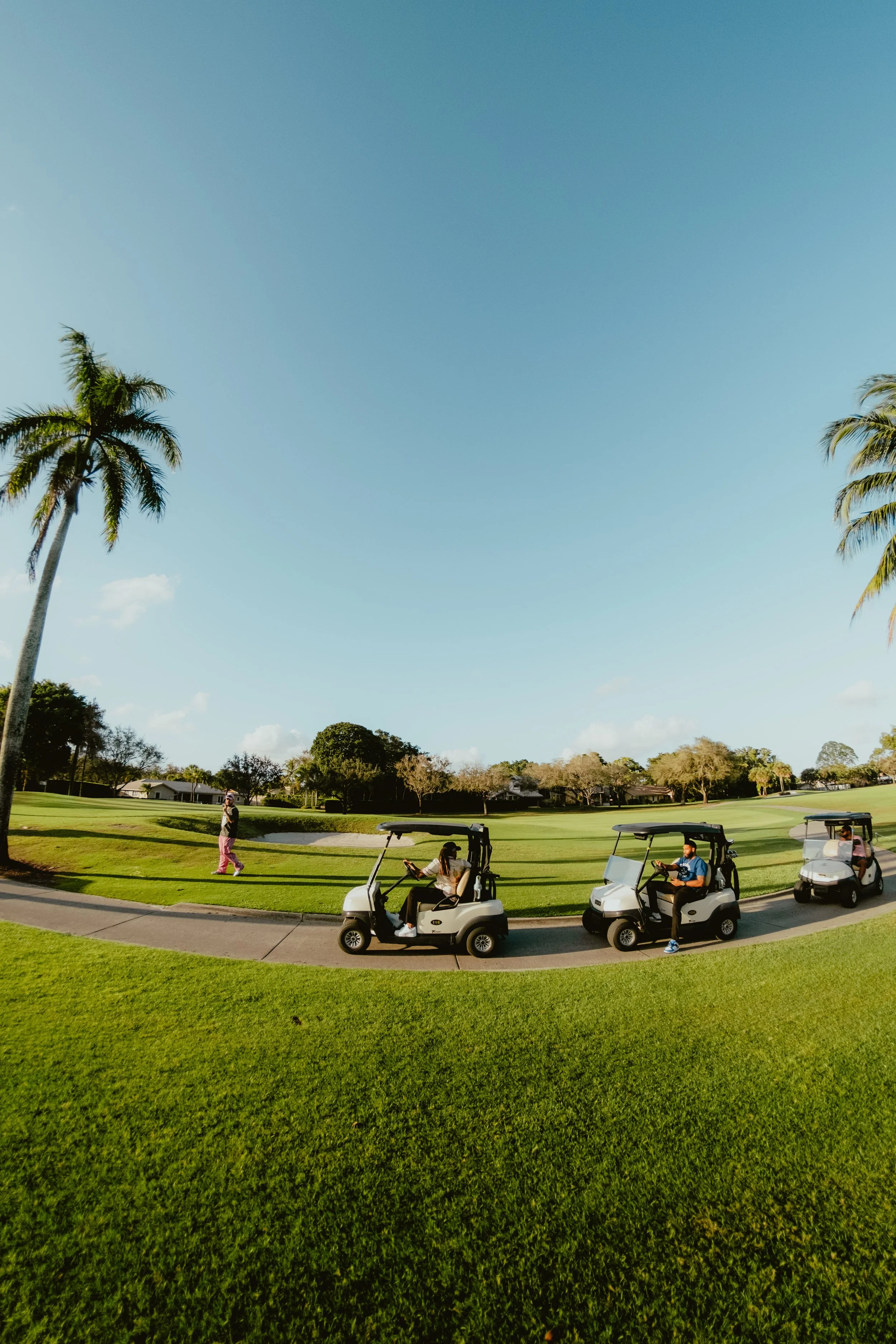 A golf course with three people in golf carts and two people walking on the grass, surrounded by palm trees and green landscape.