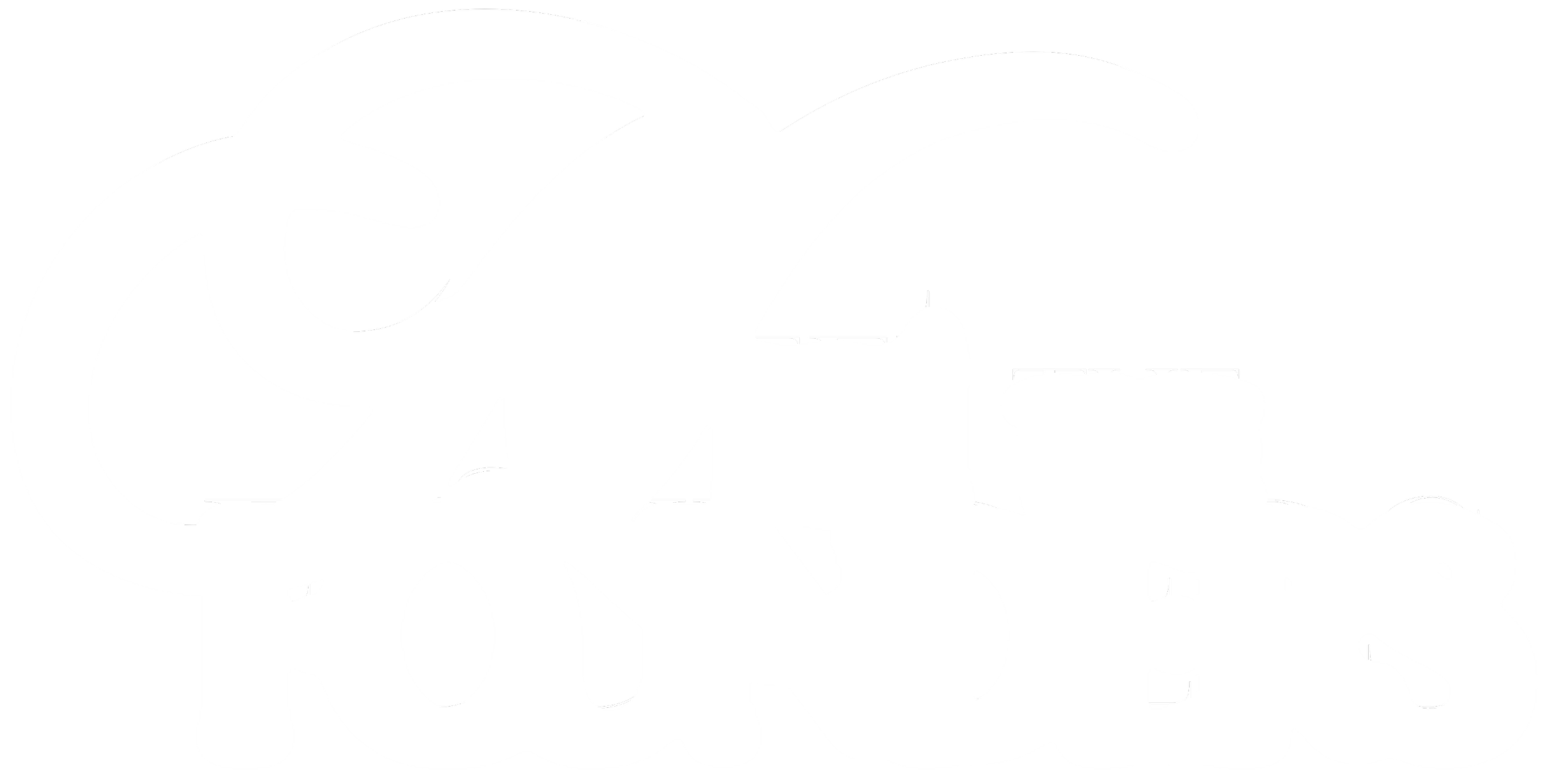 White 3D vinyl decal of the Star Wars Rebel Alliance symbol.