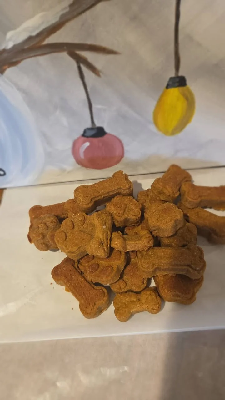 583329432_859181443252188_5098123983551361394_n (2).jpg (Copy)