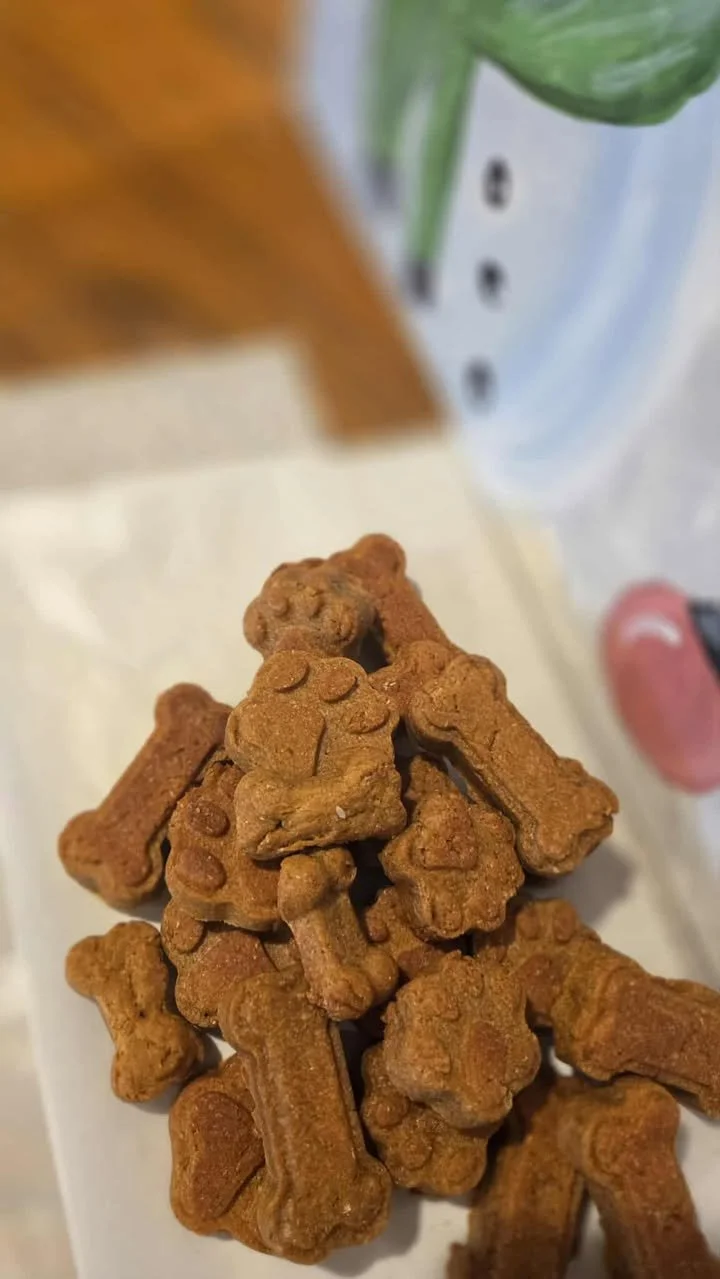 588208497_1722980685061366_5620796455334544187_n (1).jpg (Copy)