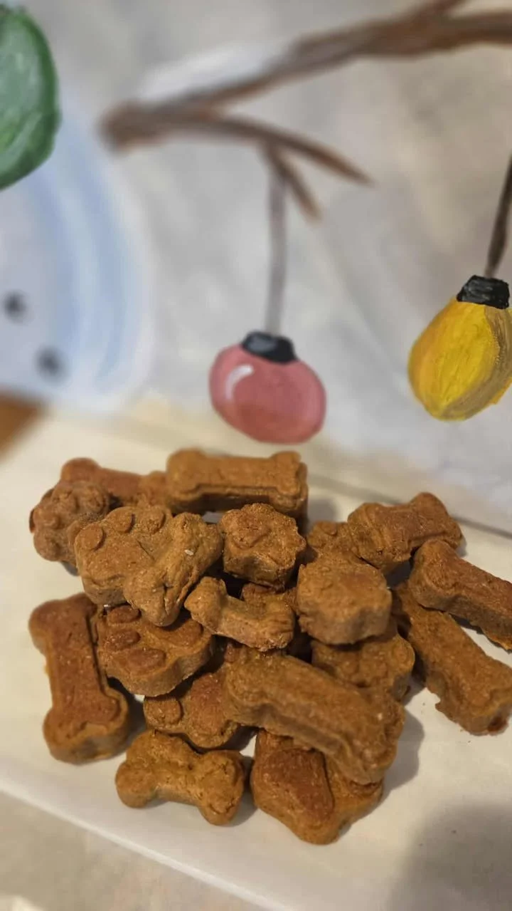 583220514_1412545246923823_7294812378920119560_n (1).jpg (Copy)