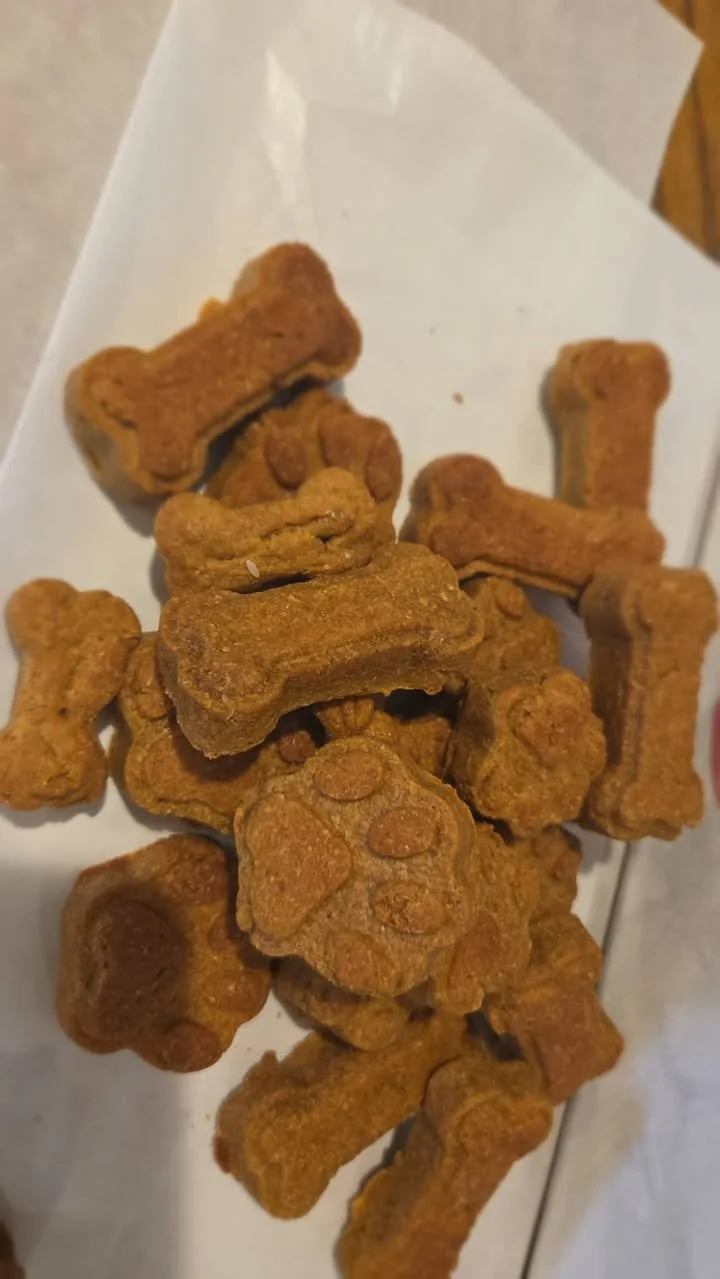 584032985_894626439556656_5986755664898949012_n (2).jpg (Copy)