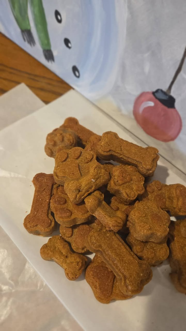 588700688_705088468927680_619090686441139126_n (1).jpg (Copy)