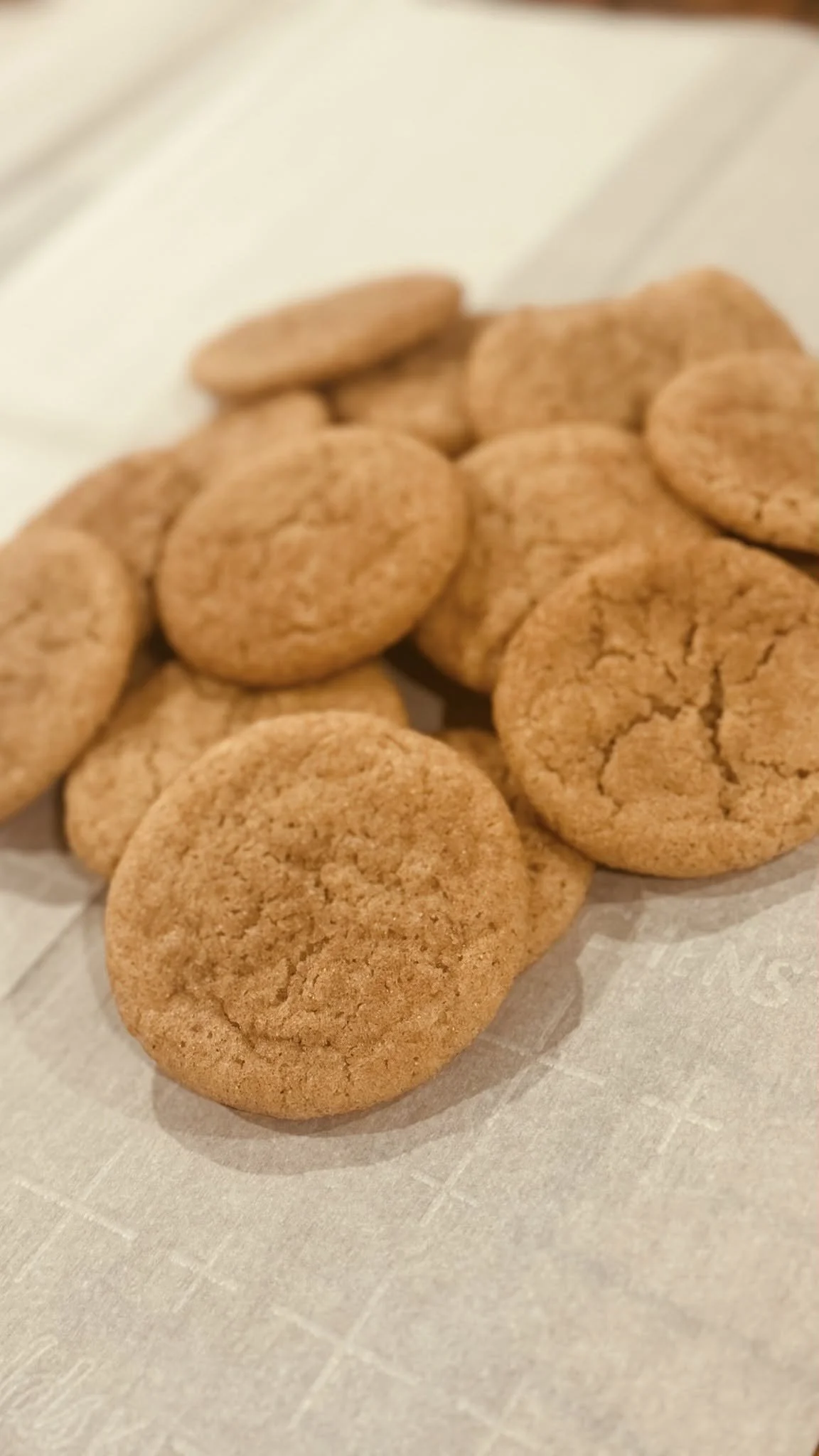 Snickerdoodle Mini Box of 12