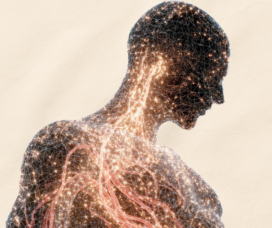 Supporting Proper Communication Between the Brain &amp; Body
