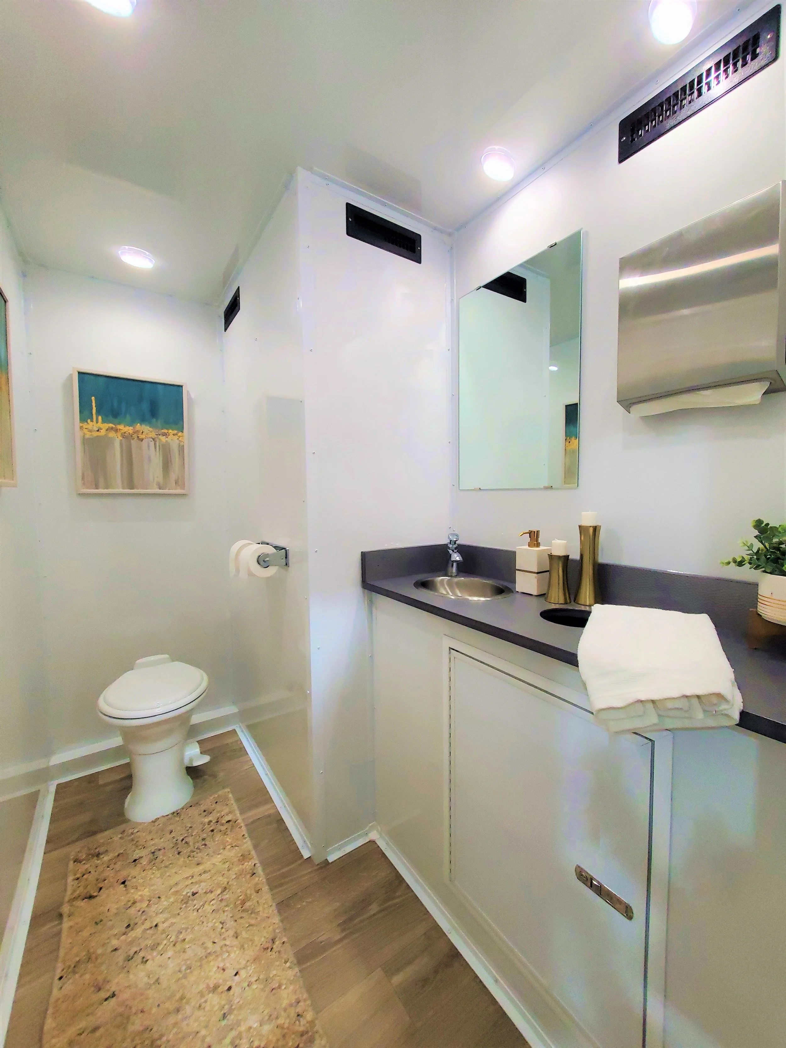Small bathroom with a white toilet, a black countertop with a sink, mirror, artwork, and decorative items. The floor features a beige rug and wood-like flooring, with a white wall and ceiling with ceiling lights.